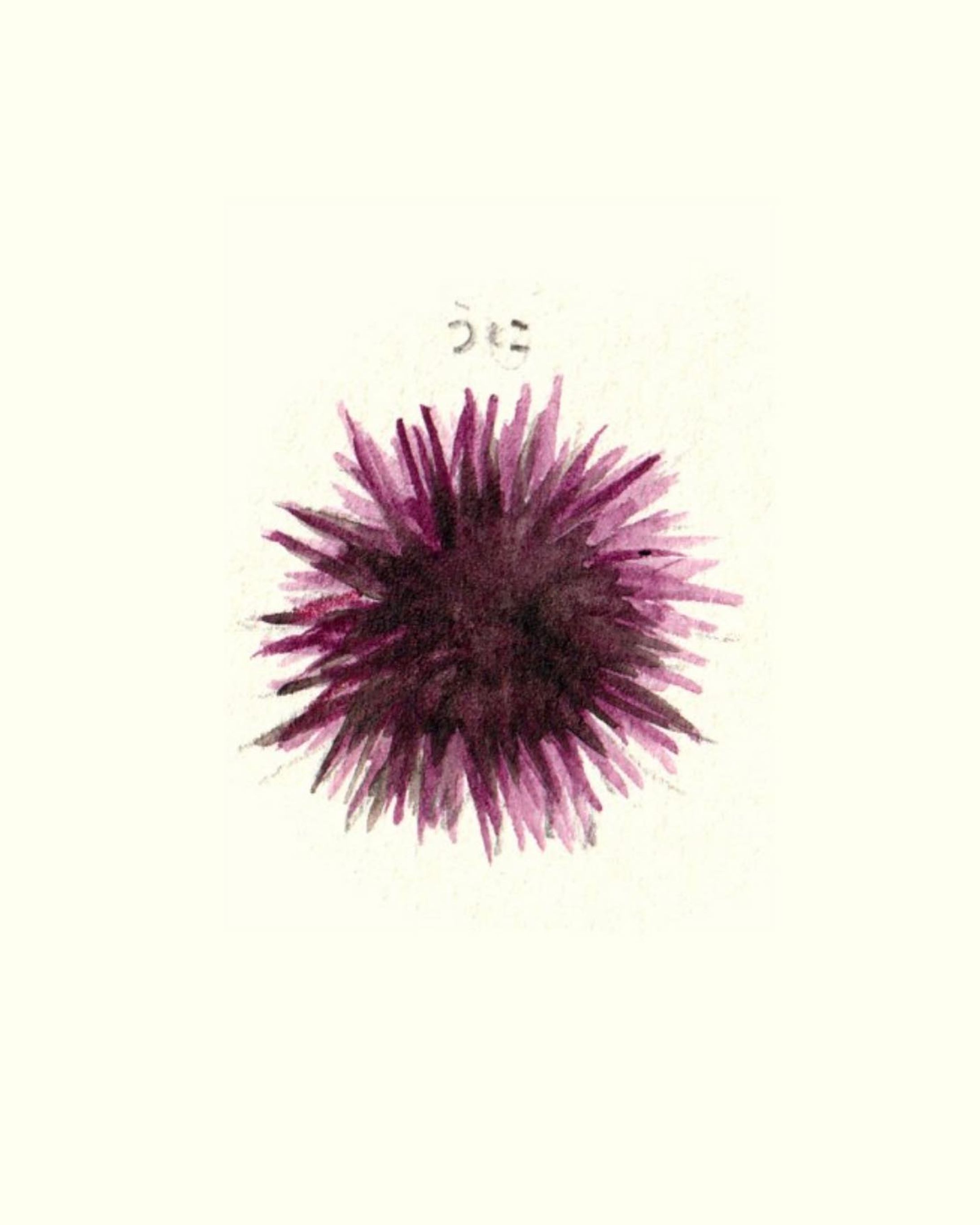 うに

#イラスト
#水彩
#絵本
#いらすとぐらむ-1
