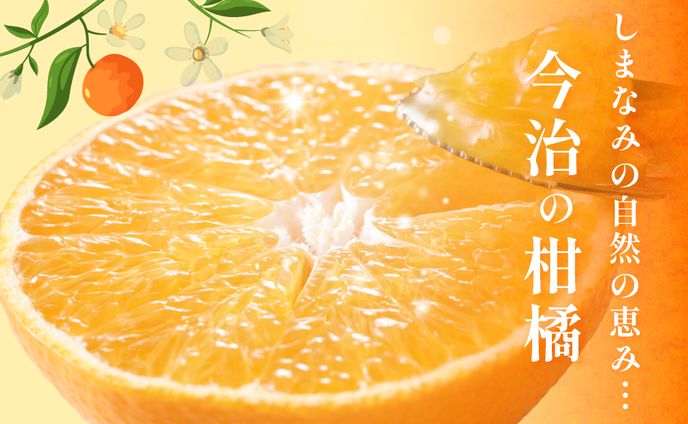 柑橘紹介バナー