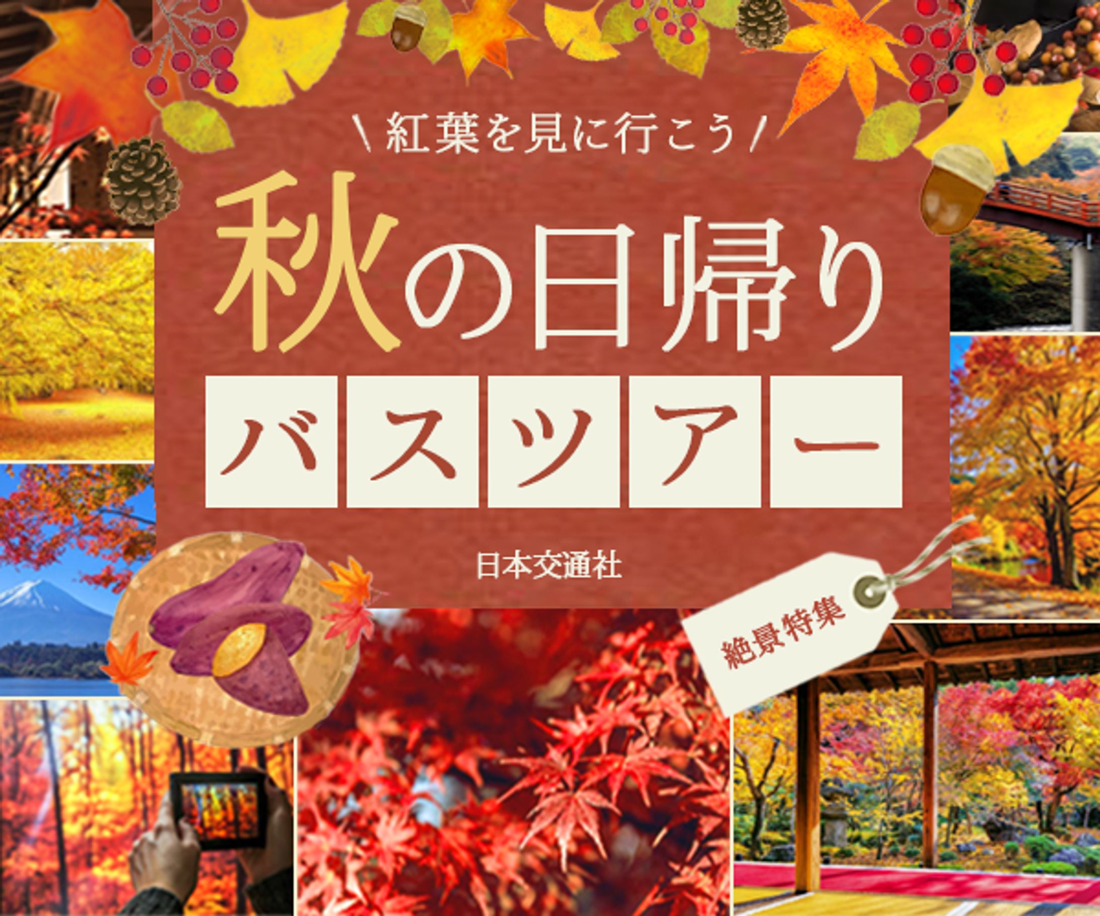秋のバスツアー-1
