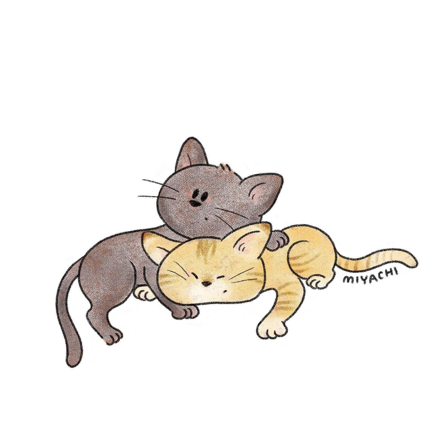 2匹のねこ #イラストレーター#イラスト#デジタルイラスト#動物