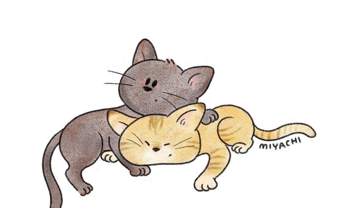 2匹のねこ

#イラストレーター#イラスト#デジタルイラスト#動物#猫#illustrator#illustration#animal#cat