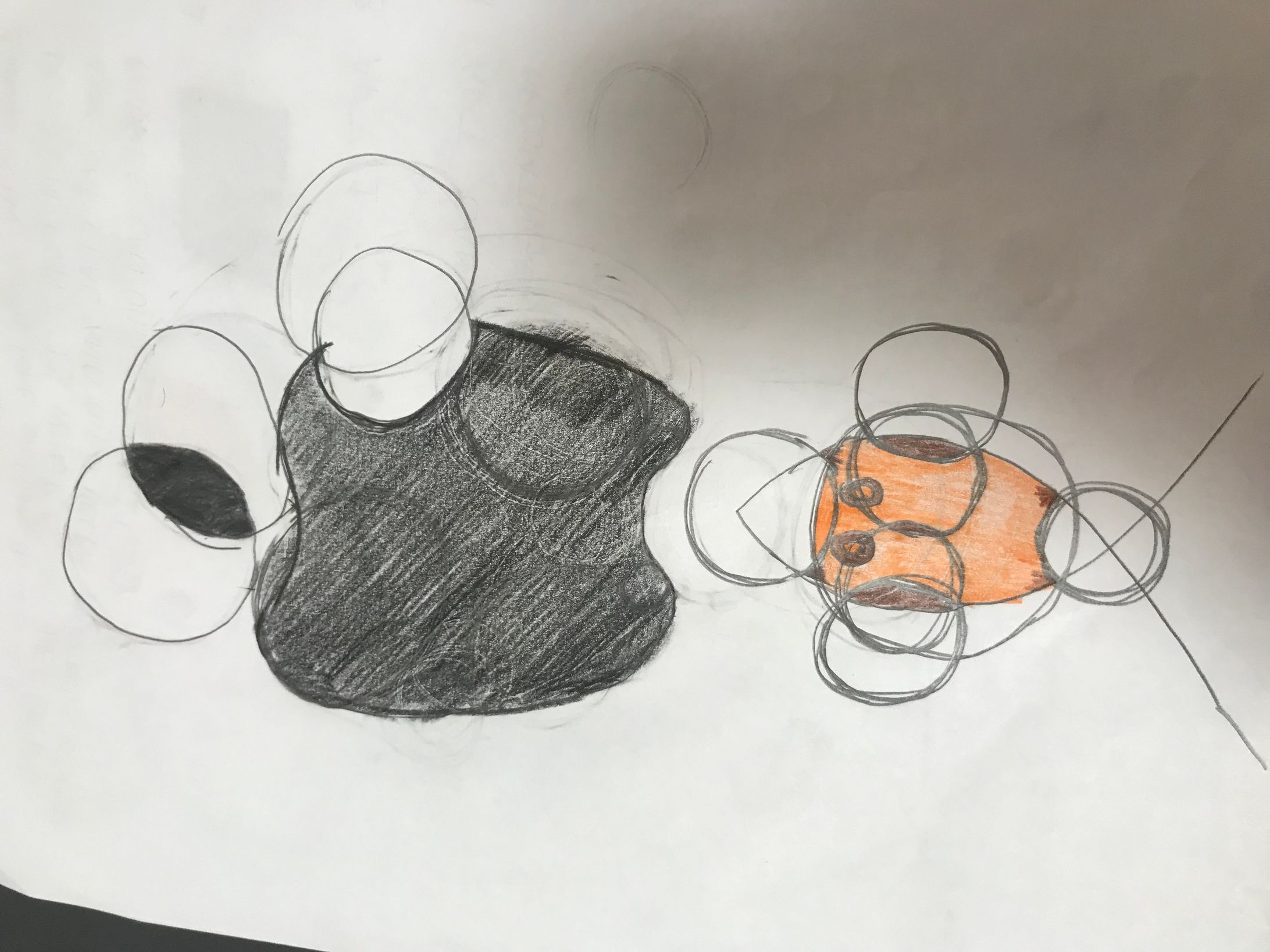Circle drawing -1