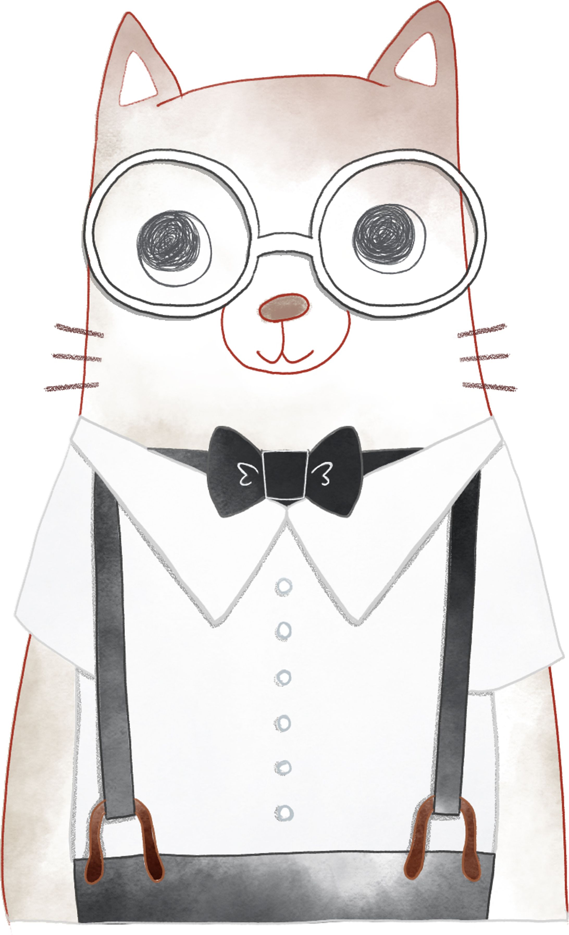 202202 animal cat2-1