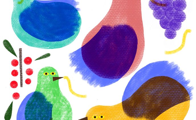 bird