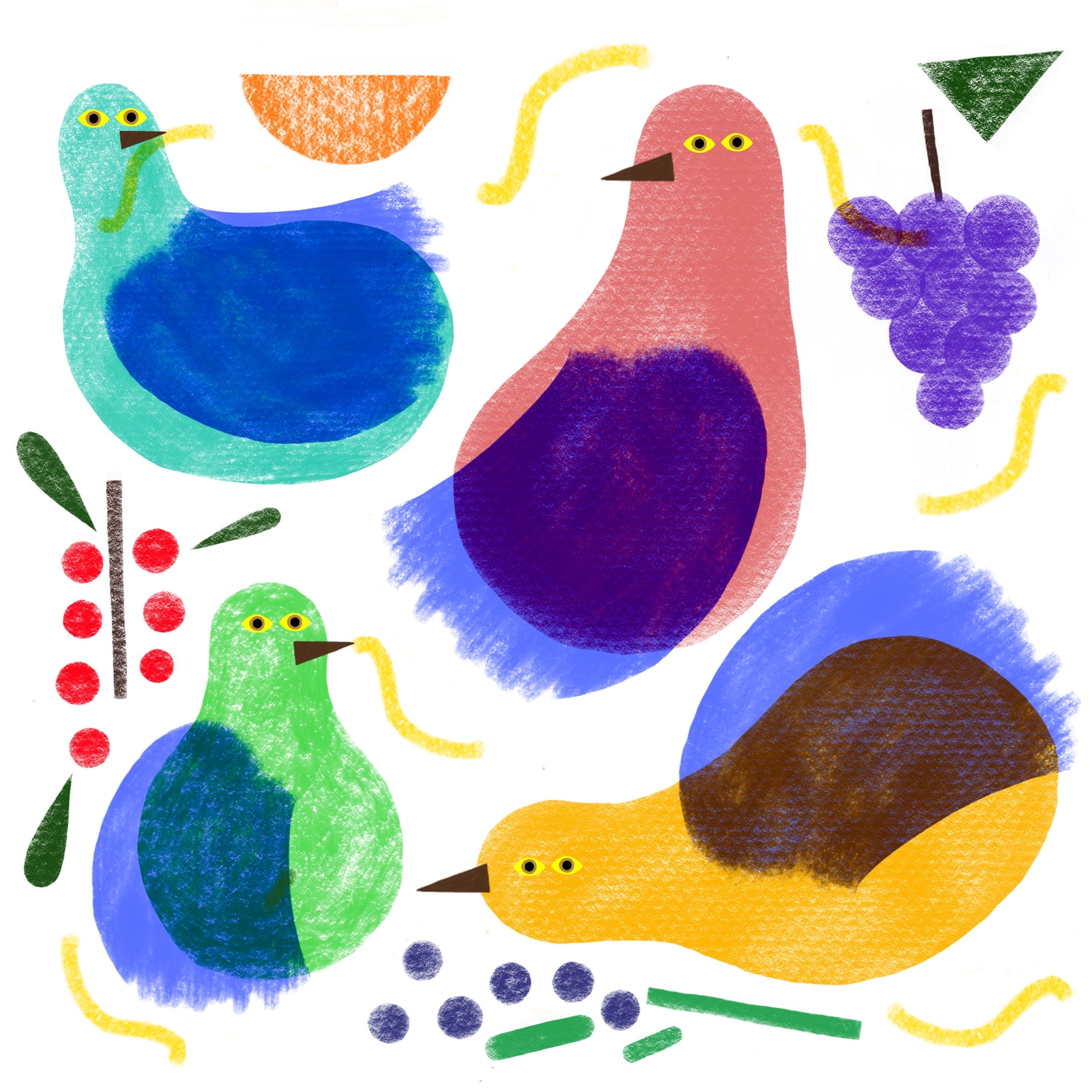 bird-1