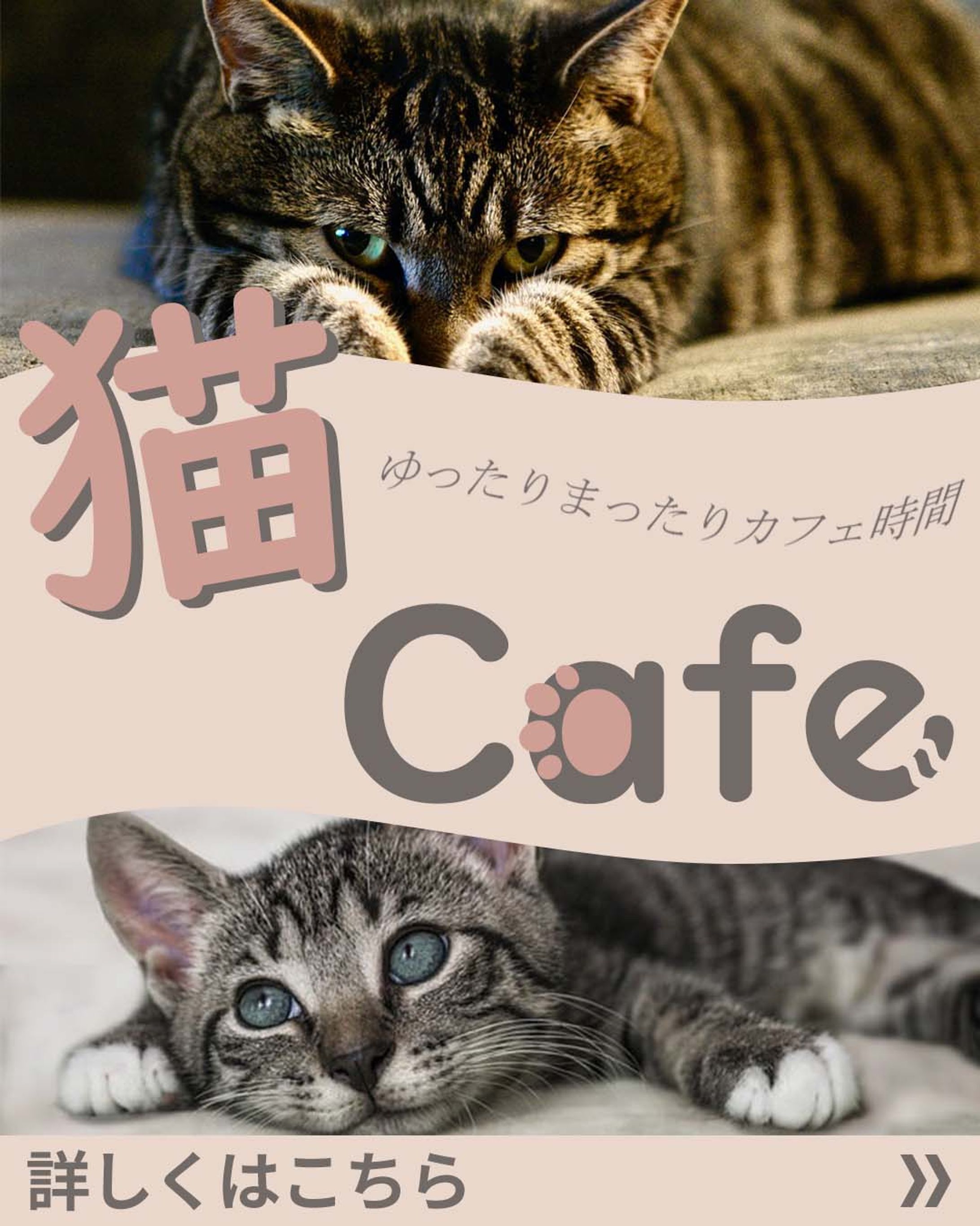 猫カフェ_instagram投稿用-1