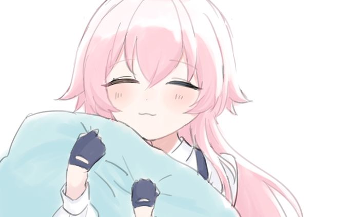 ブルアカ ホシノ