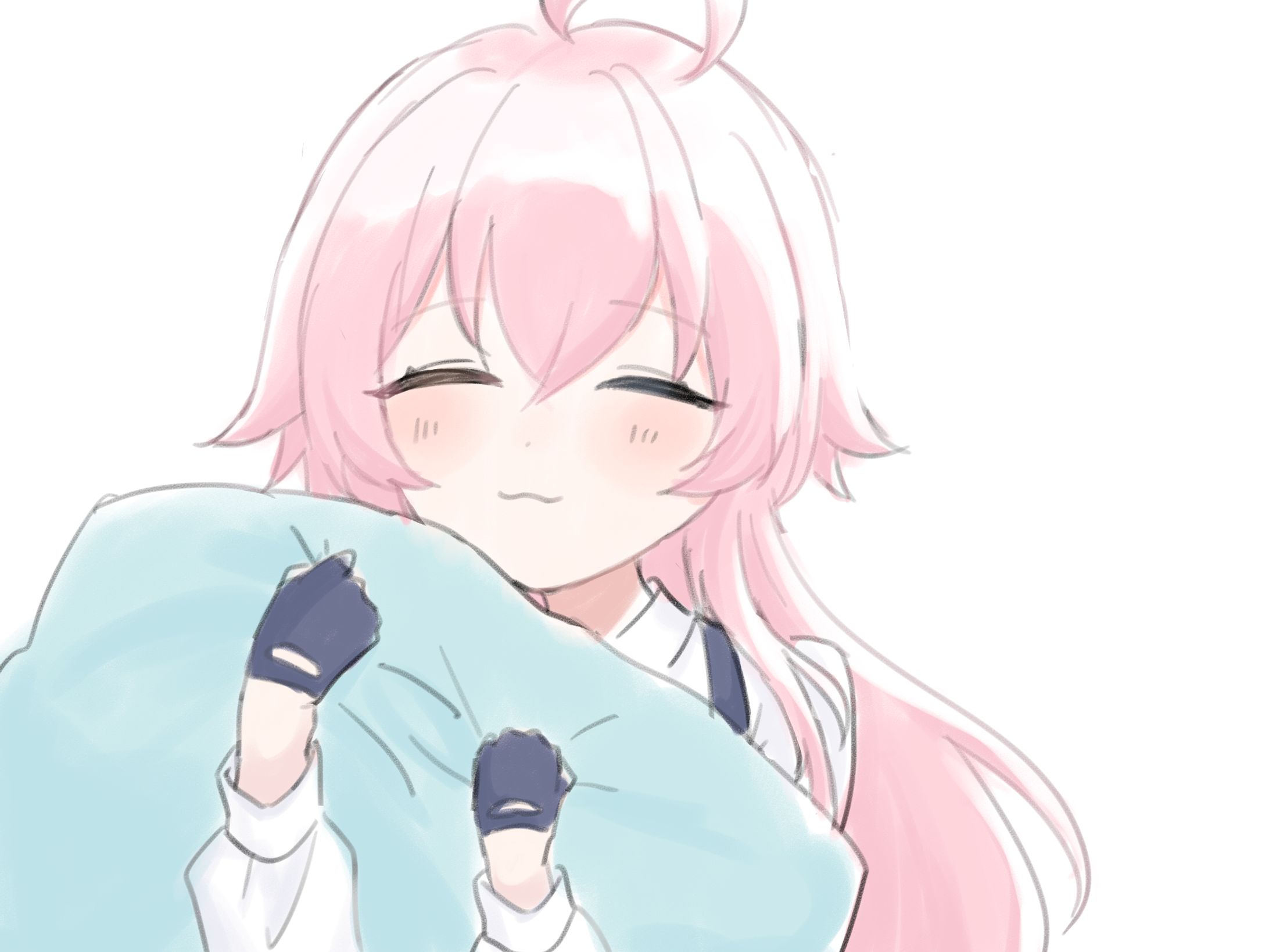 ブルアカ ホシノ-1