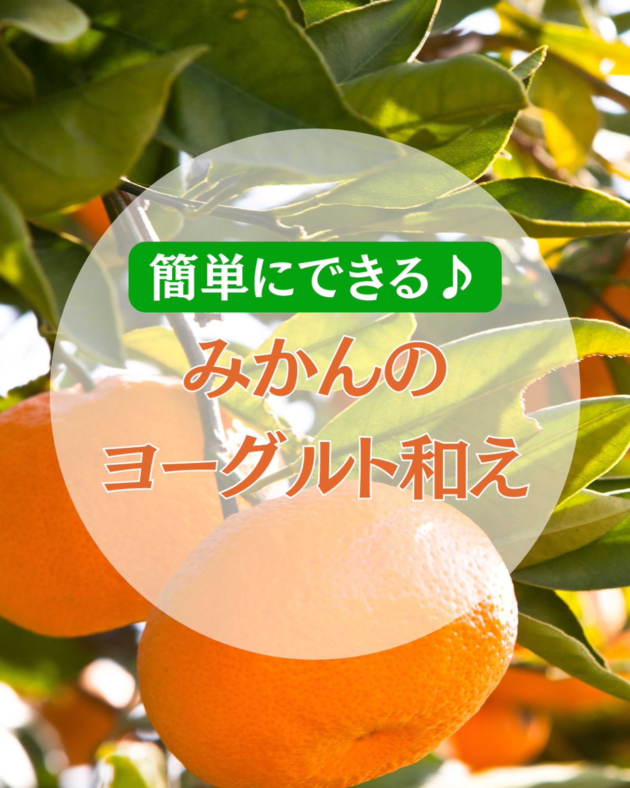 レシピ～みかんのヨーグルト和え～-1