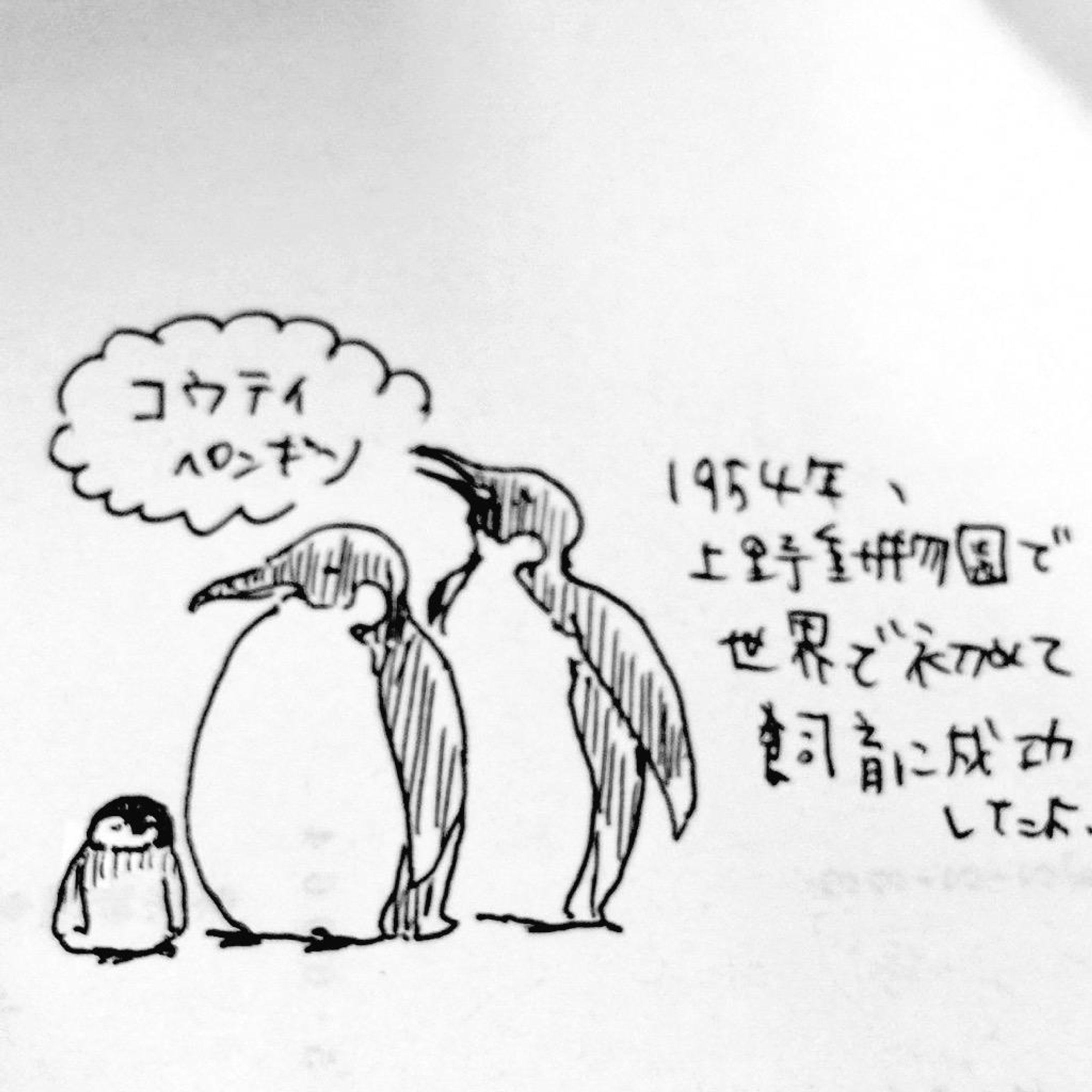 らくがきまとめ-1