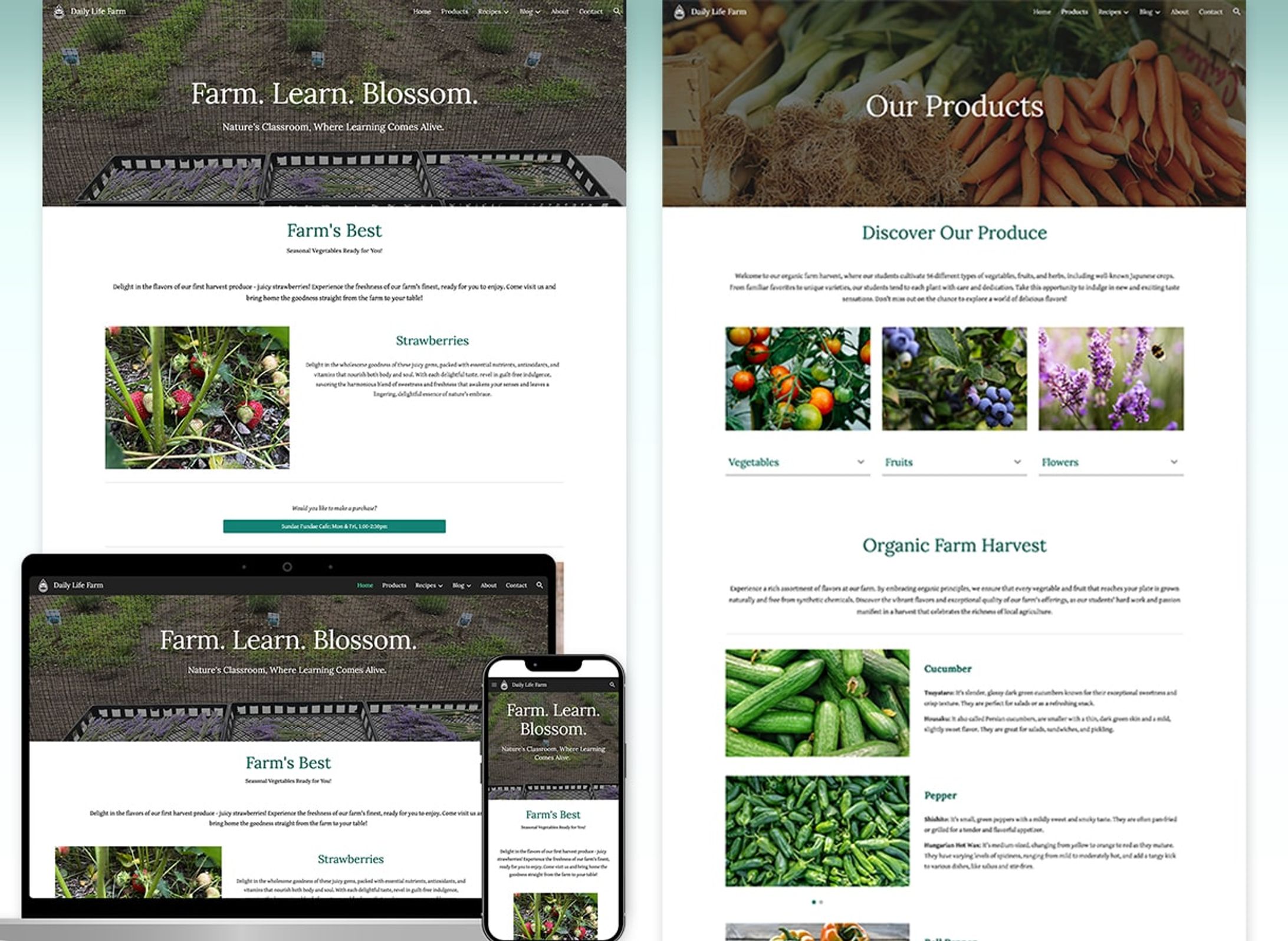 (HP)Daily Life Farm様-1