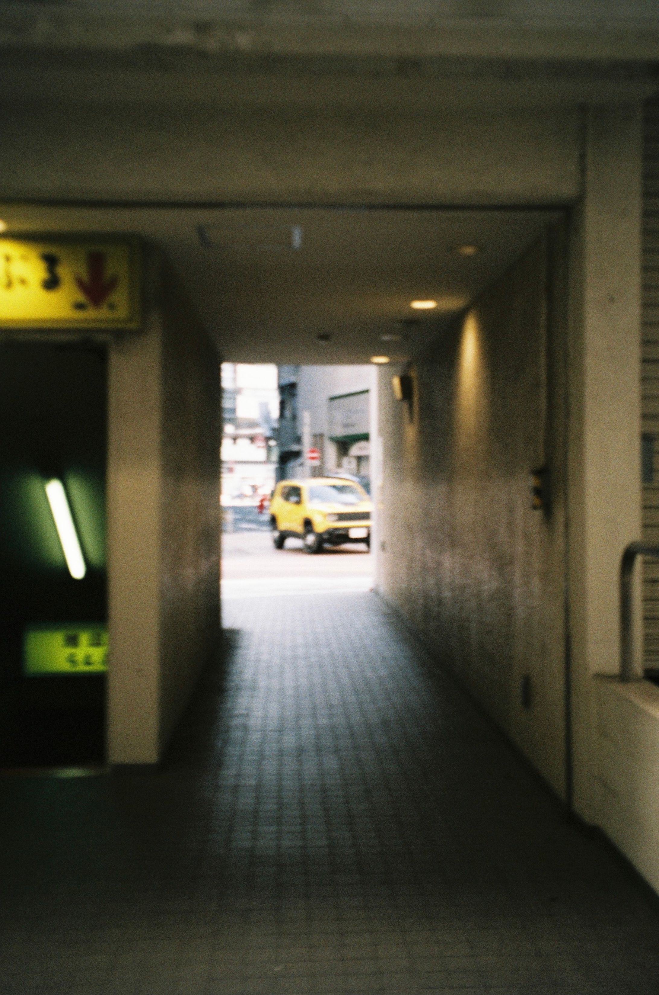 日常 snap-1
