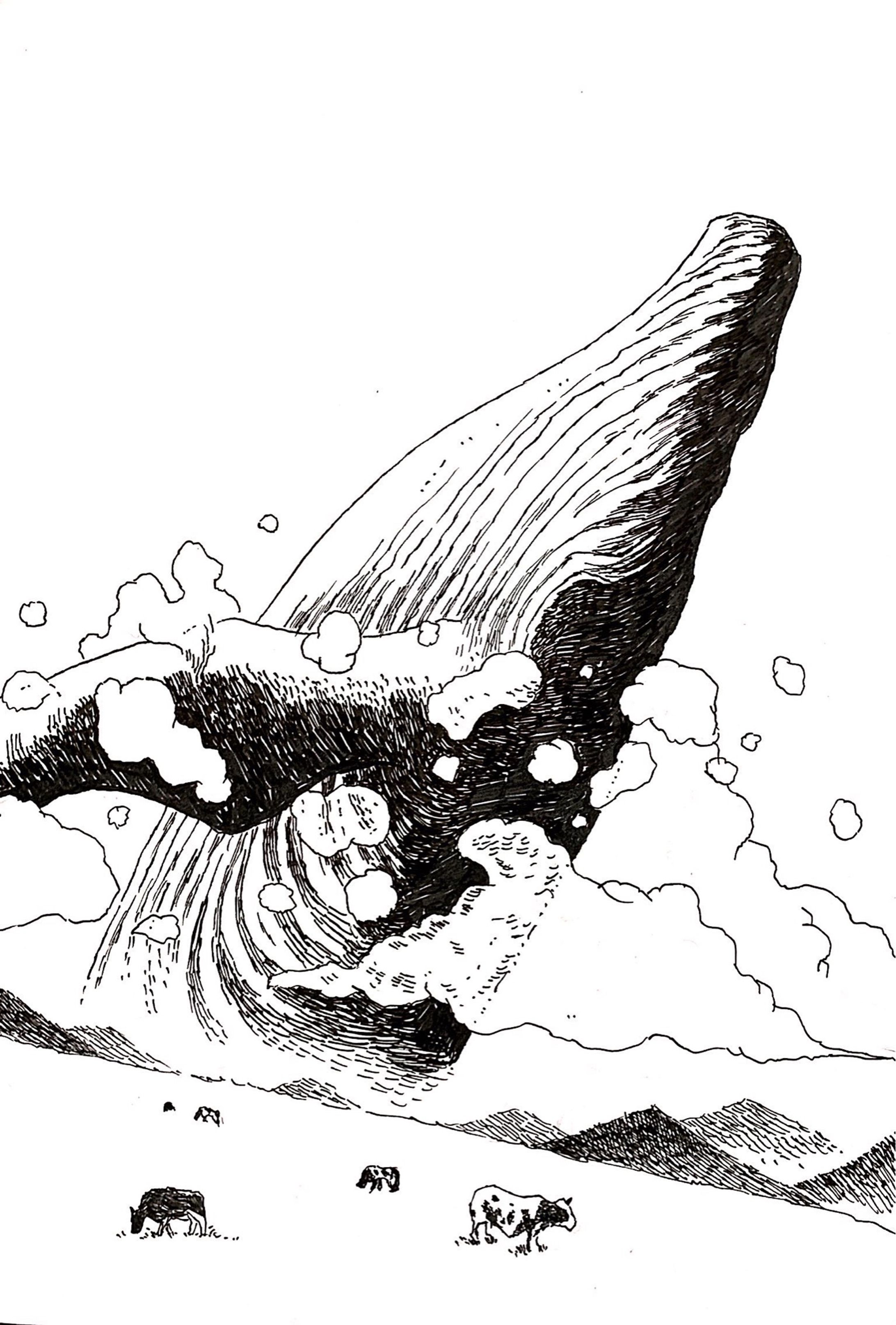 Whale-1
