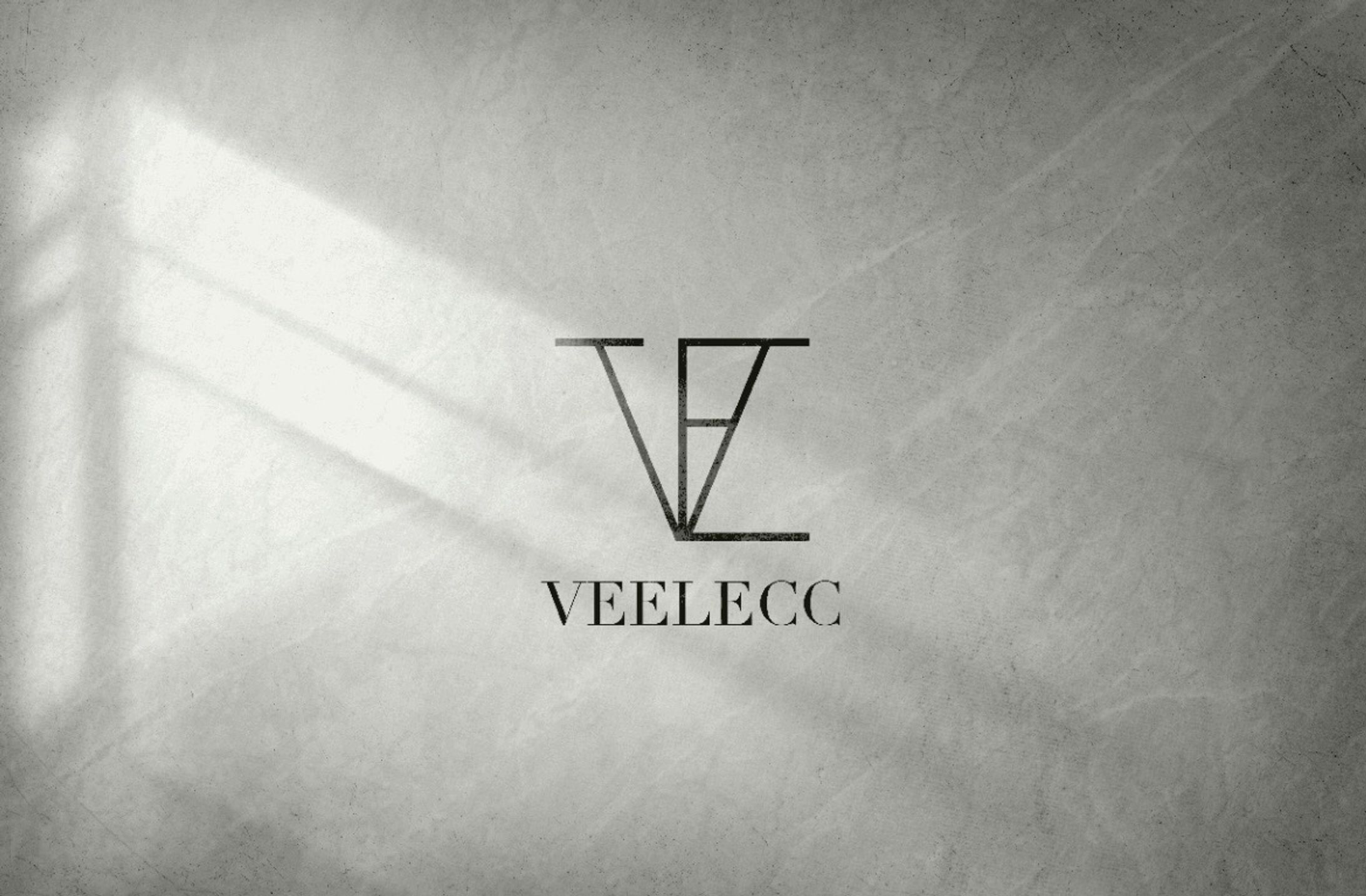 VEELECC Logodesign-1