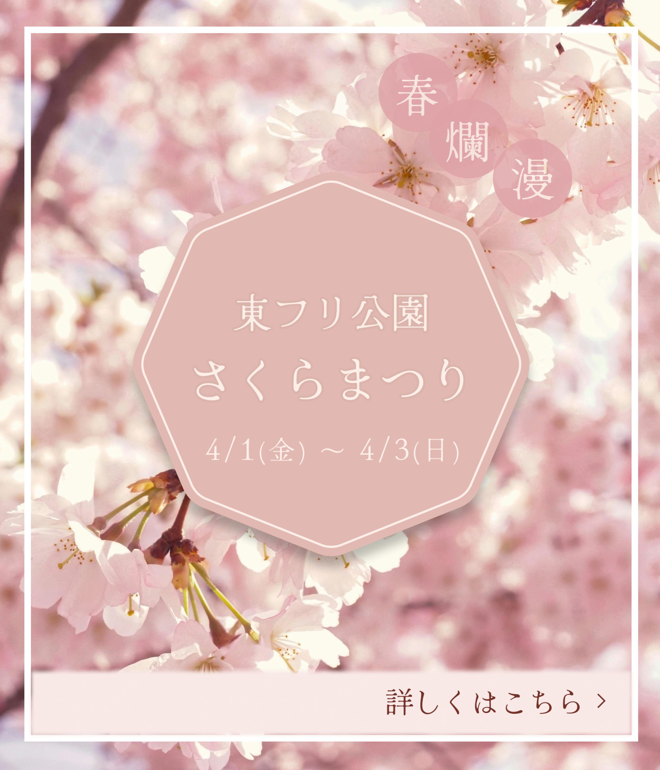 さくらまつり（作成）-1