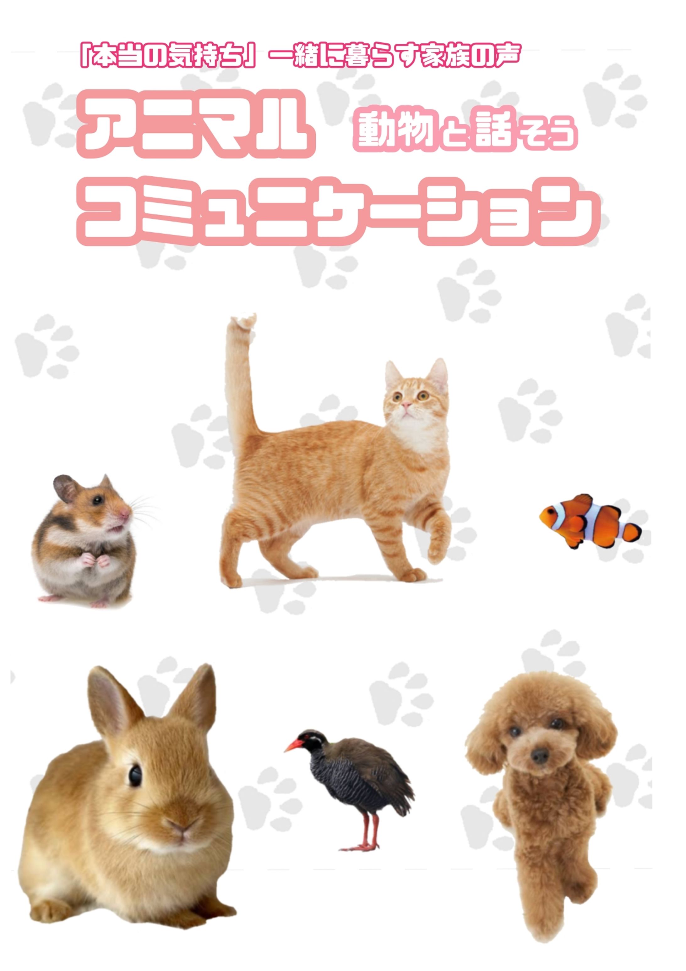 【POP】アニマルコミュニケーション-1