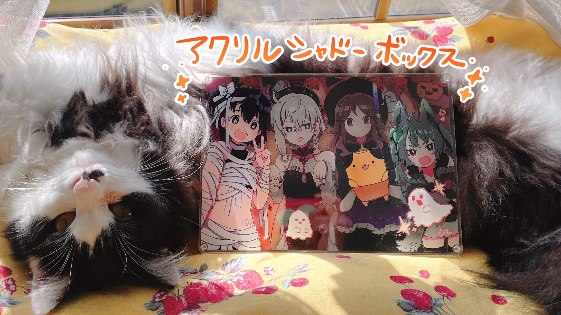 アクリルシャドーボックスグッズ販促イラスト-1