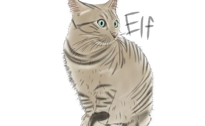 ペット似顔絵