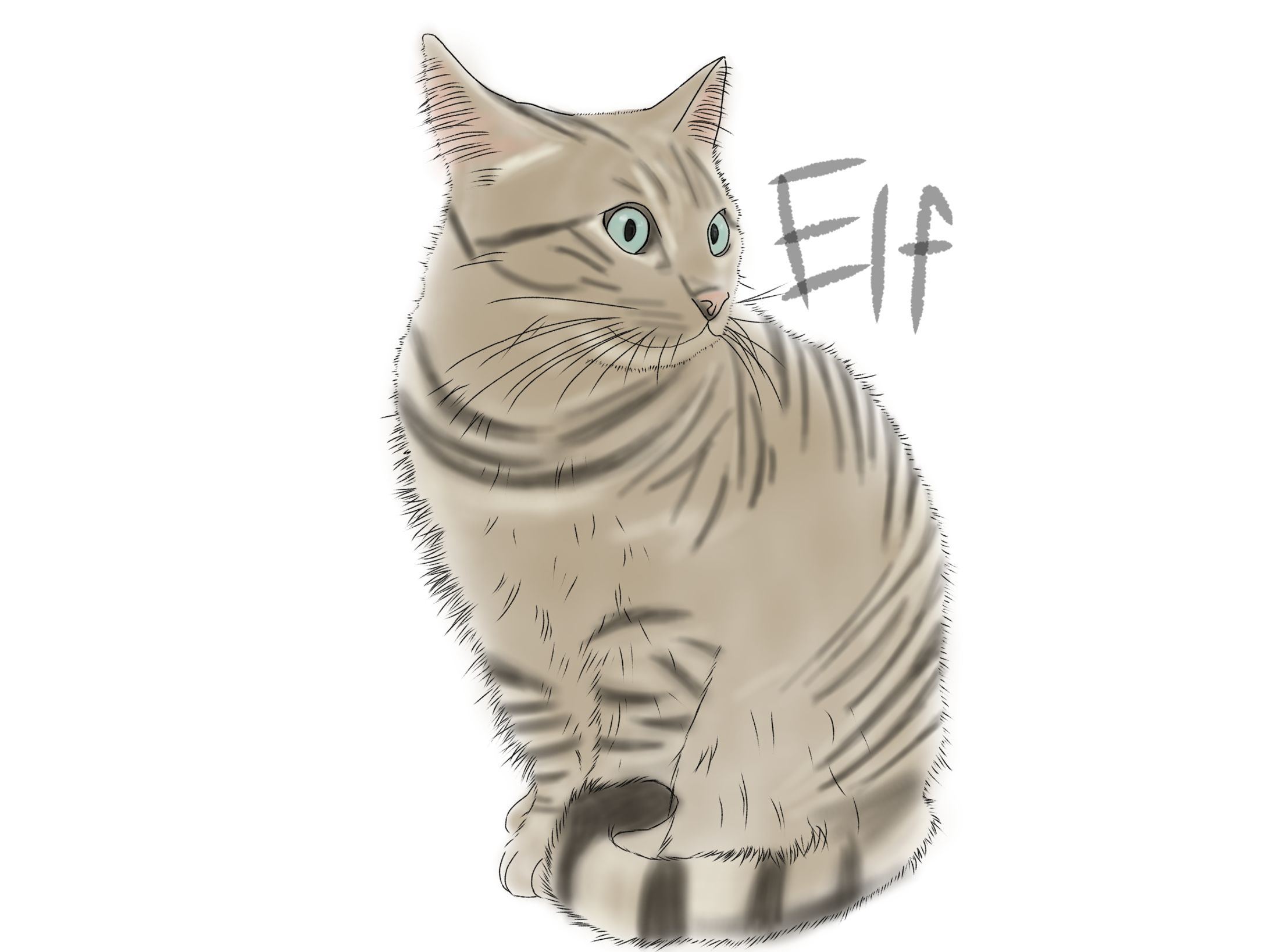 ペット似顔絵-1