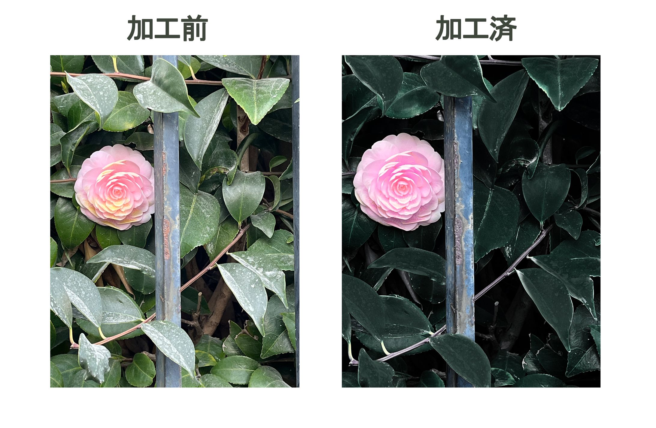塗り加工-1