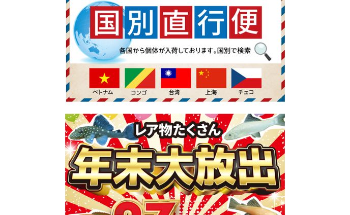 【🐠アクアリウム】楽天・yahooトップページコンテンツバナー制作