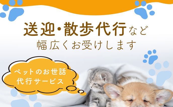 マーケター、女性向け