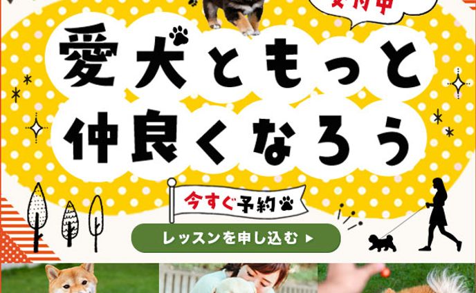 わんちゃんのしつけ教室バナー