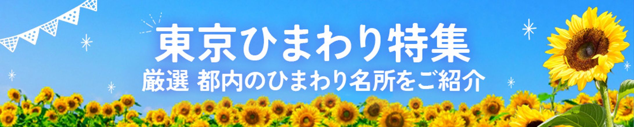 バナー：ひまわり特集-1