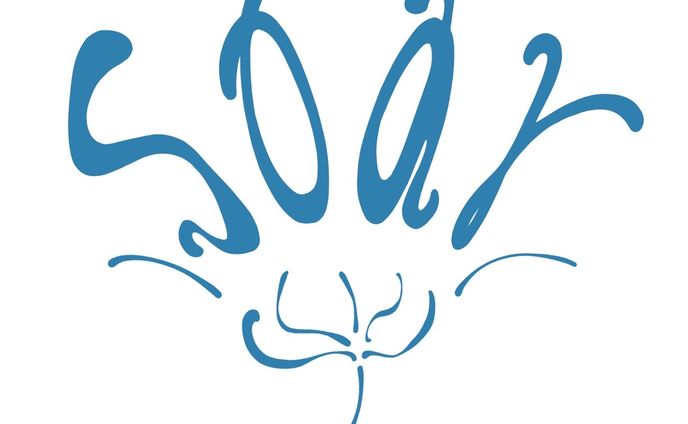 soar様　グッズデザイン