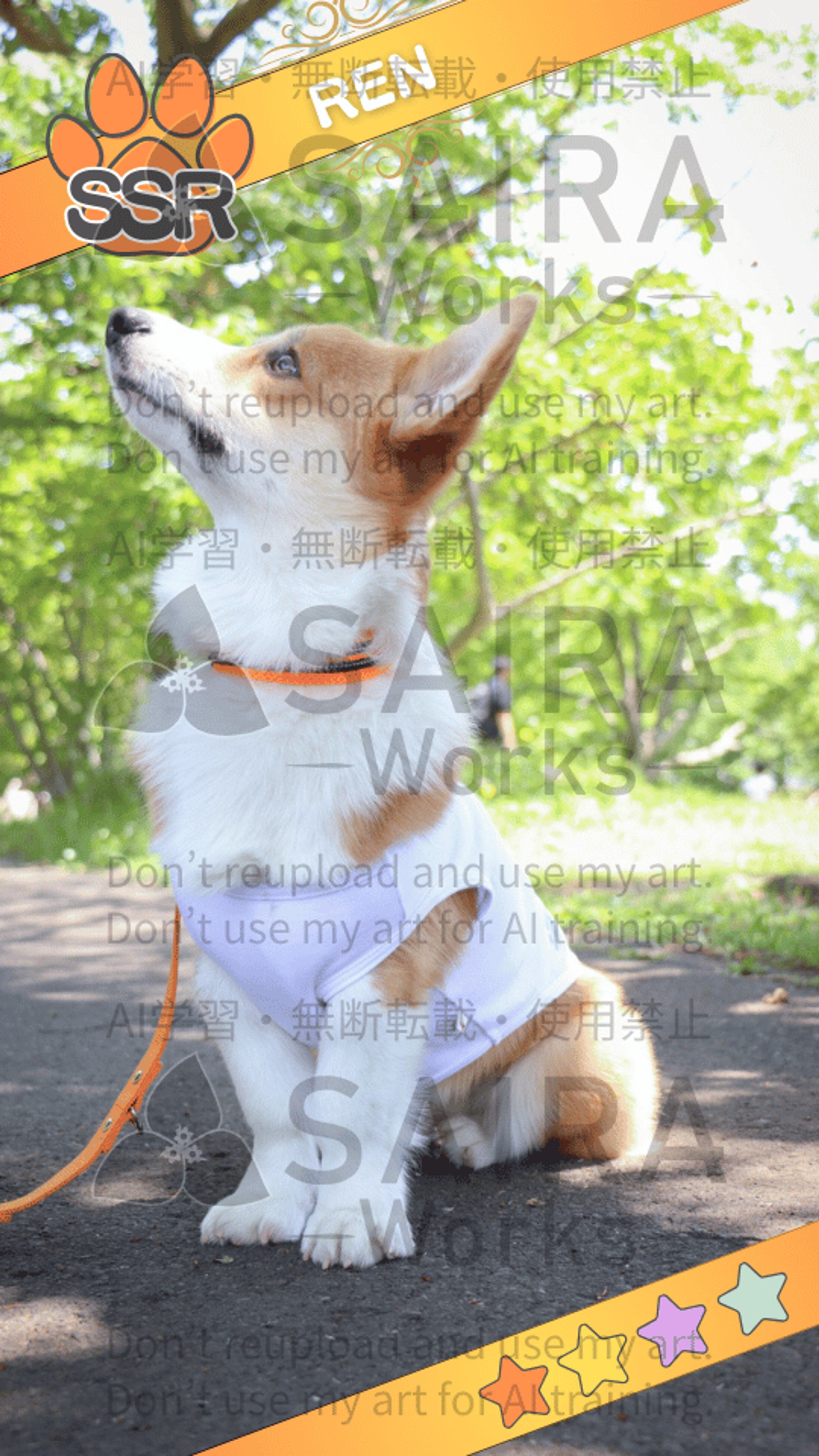 デジタルコンテンツ（ガチャ特典_ノーマル）-1