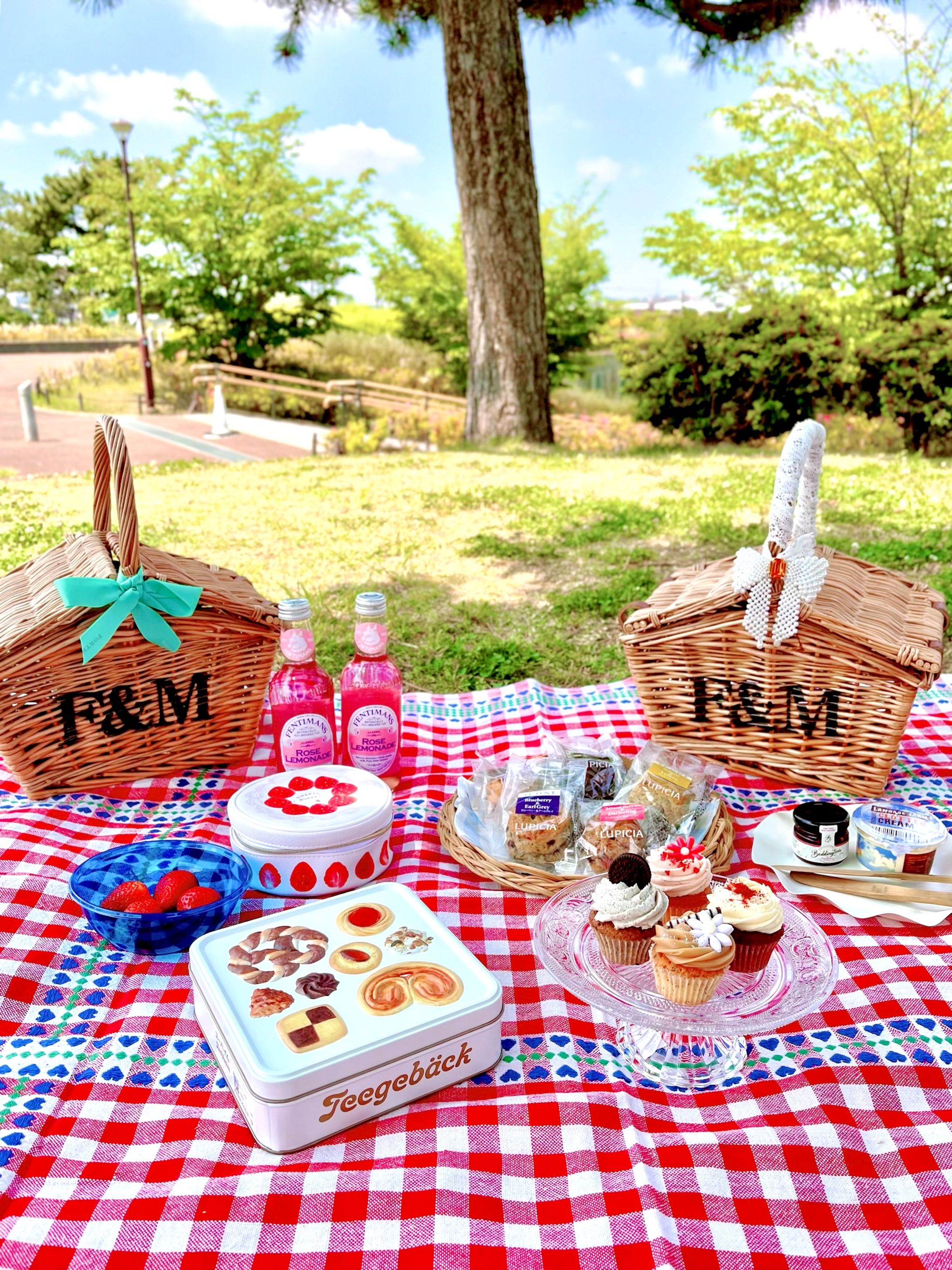 にゃんずと初夏のピクニック-1