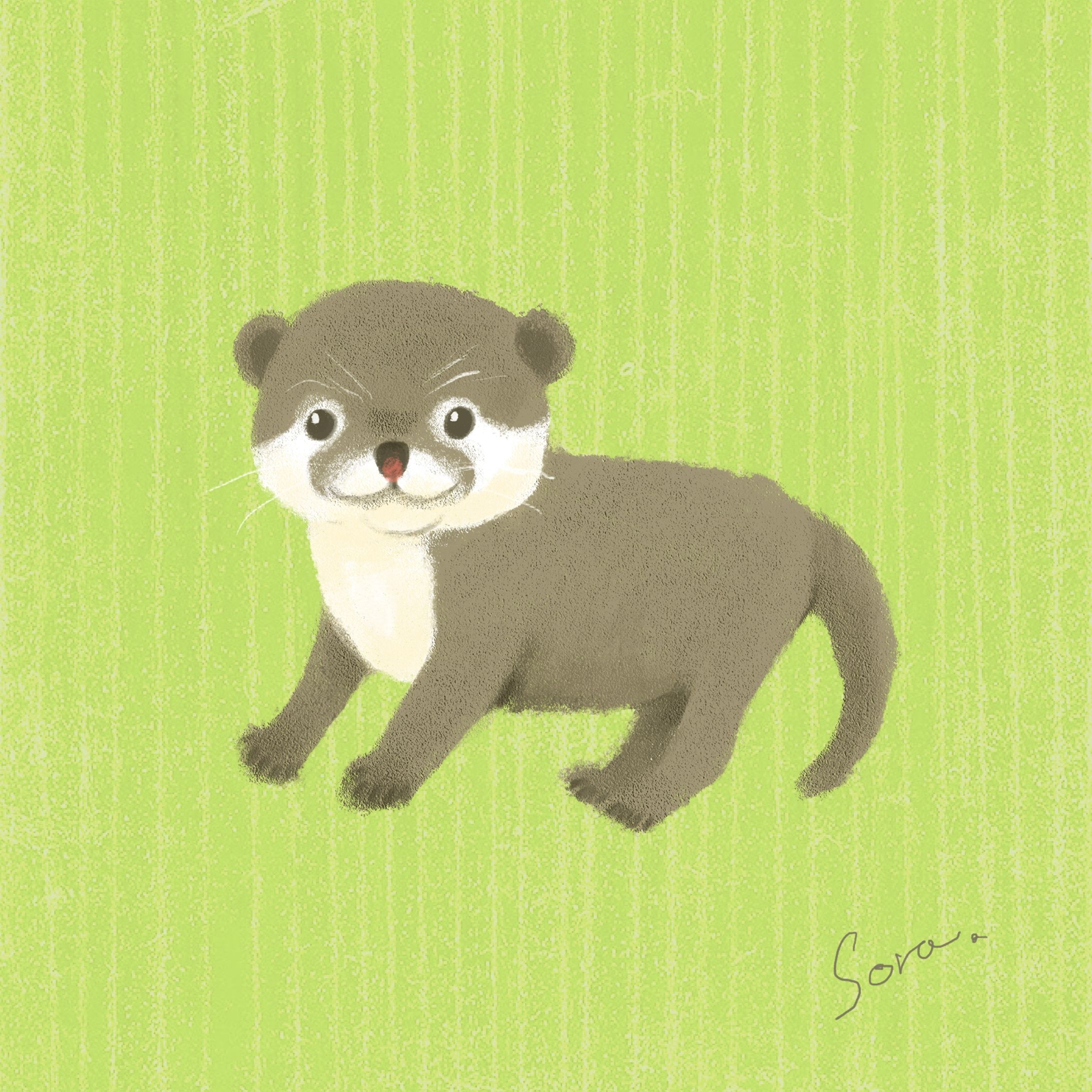 コツメカワウソ-1