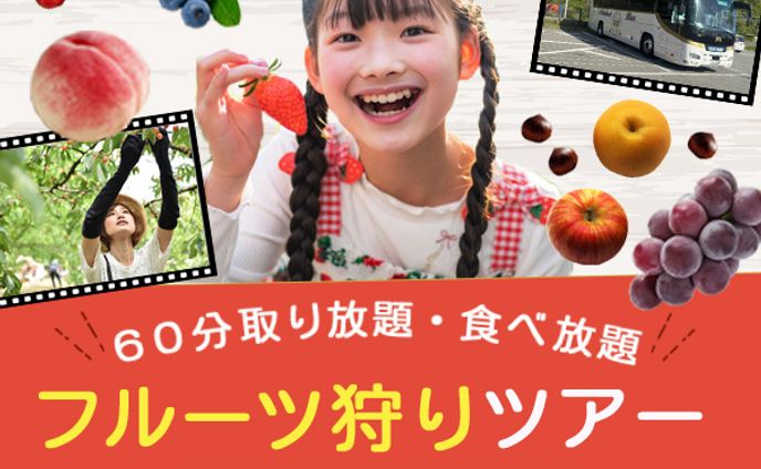 バナー：フルーツ狩りツアー