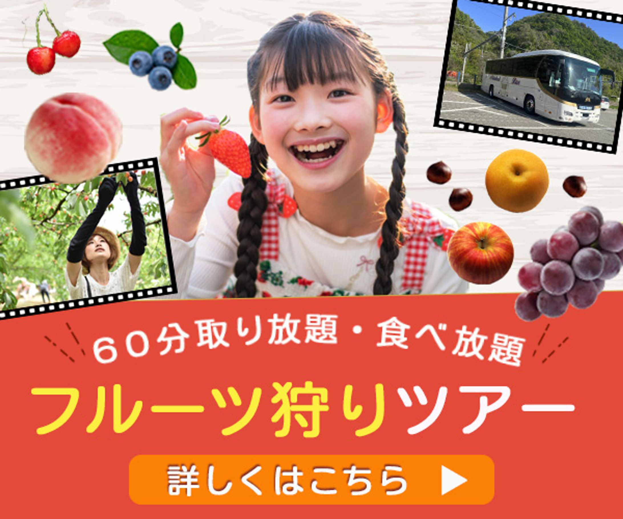 バナー：フルーツ狩りツアー-1