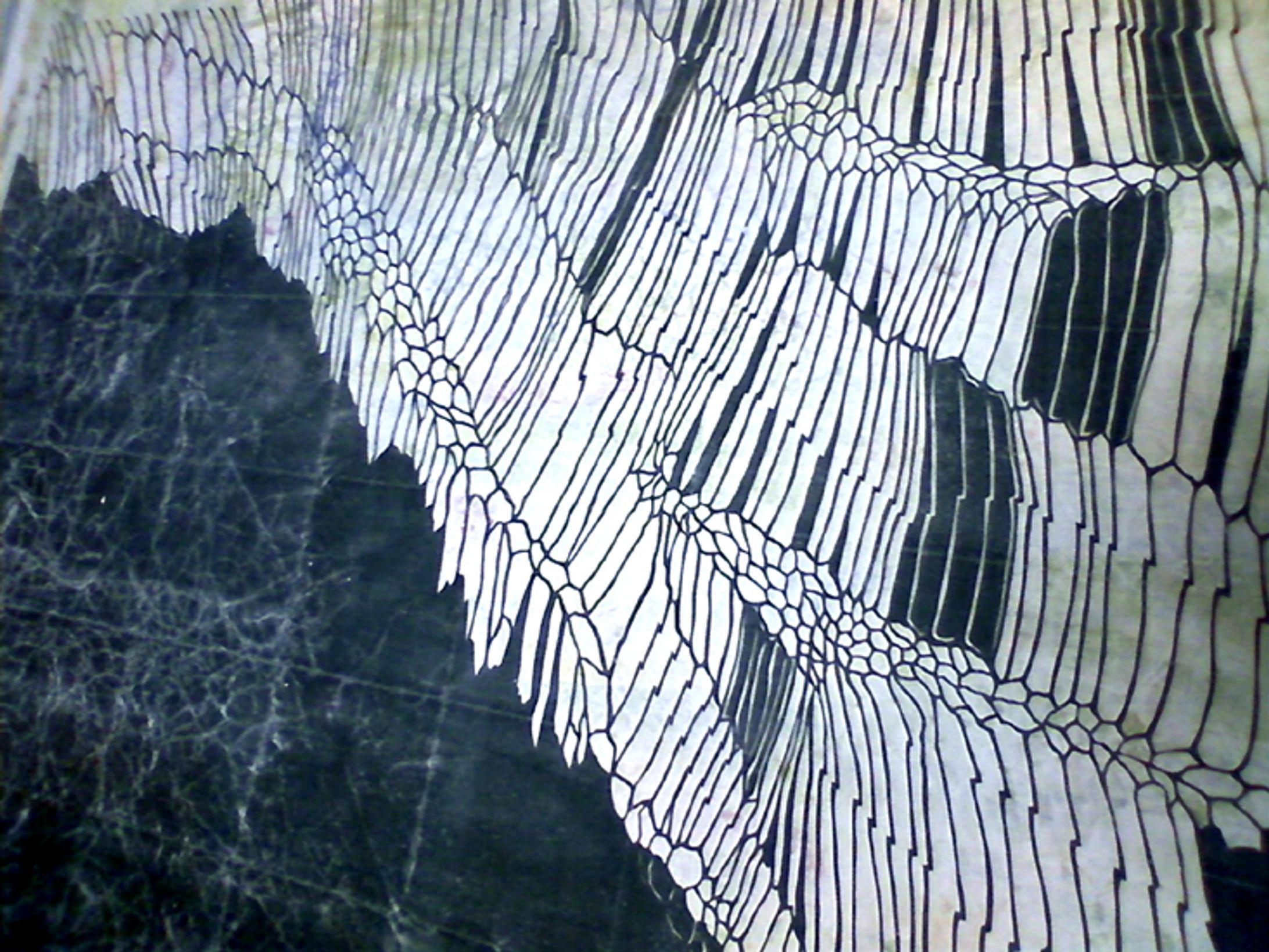 whisper -1