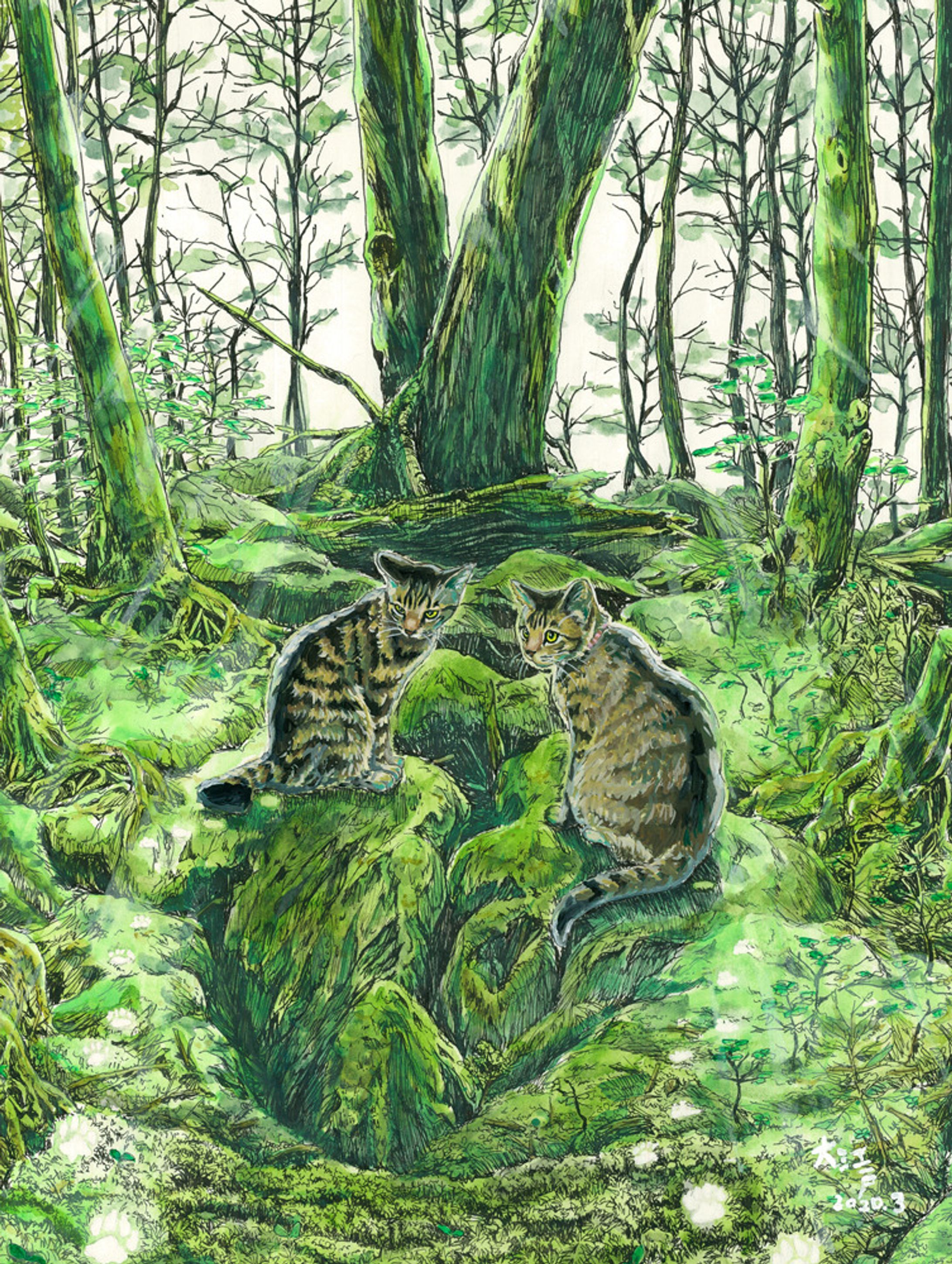 苔の森と猫たち-1