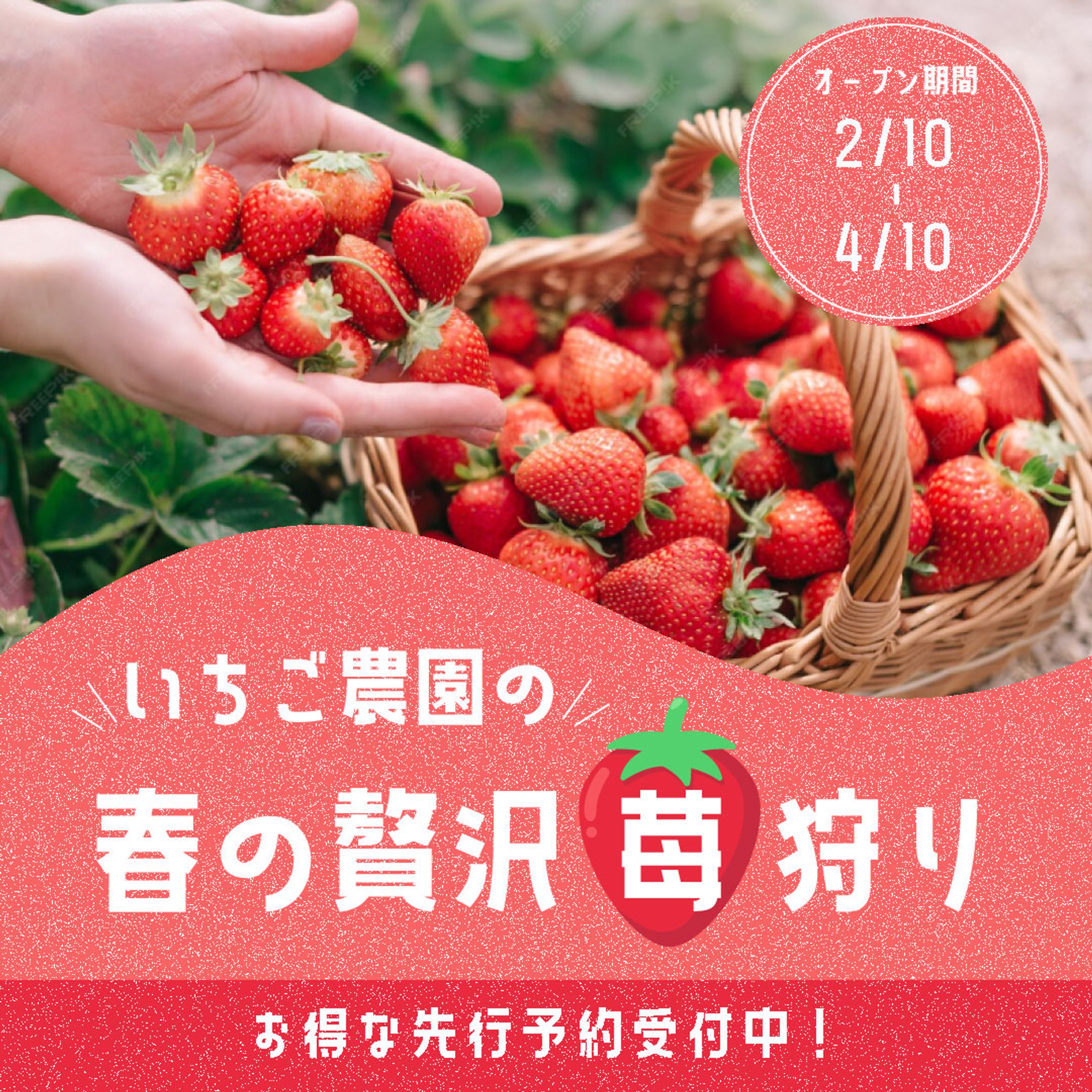 【バナー】いちご狩り-1