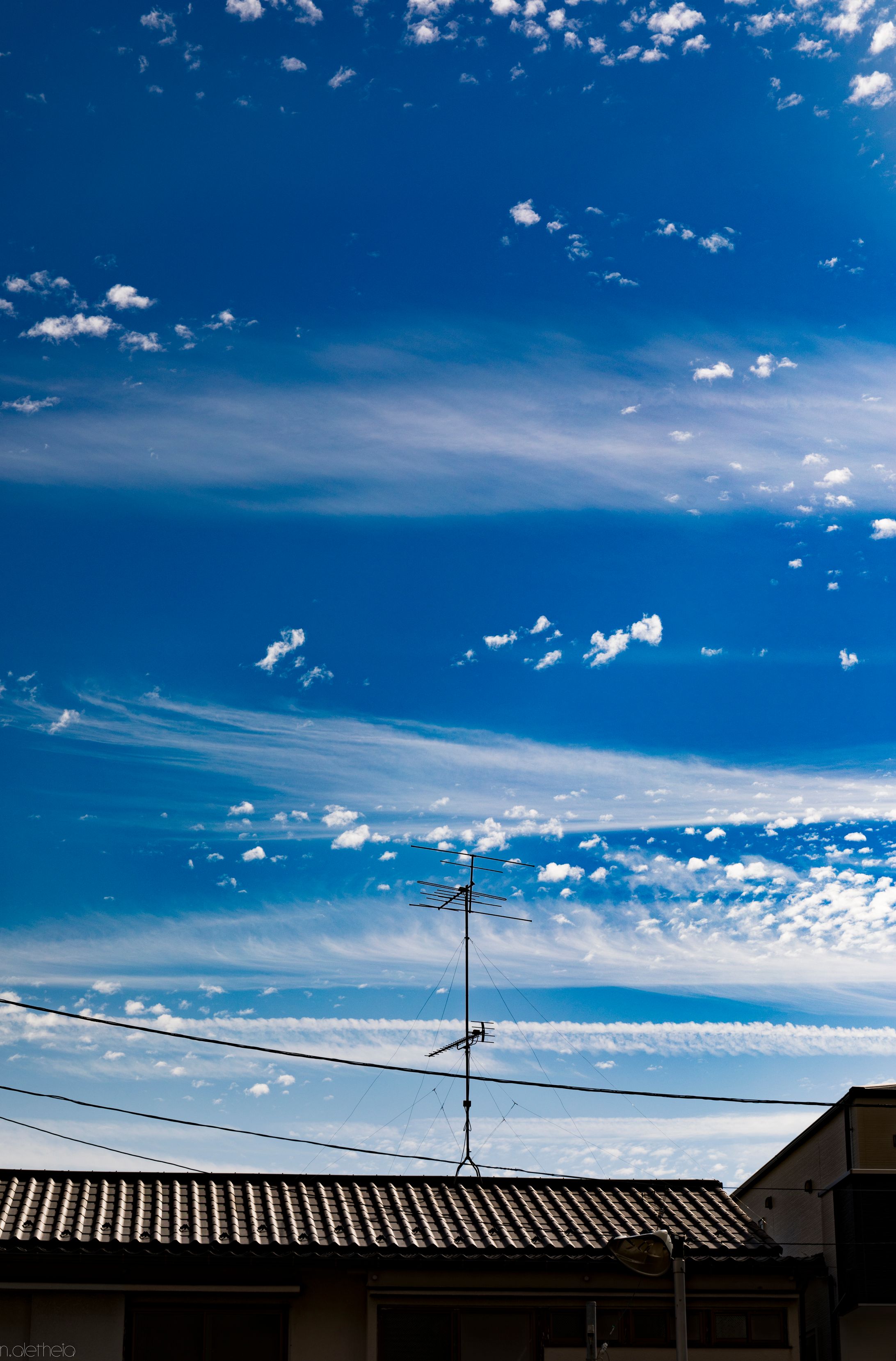 landscape3-1