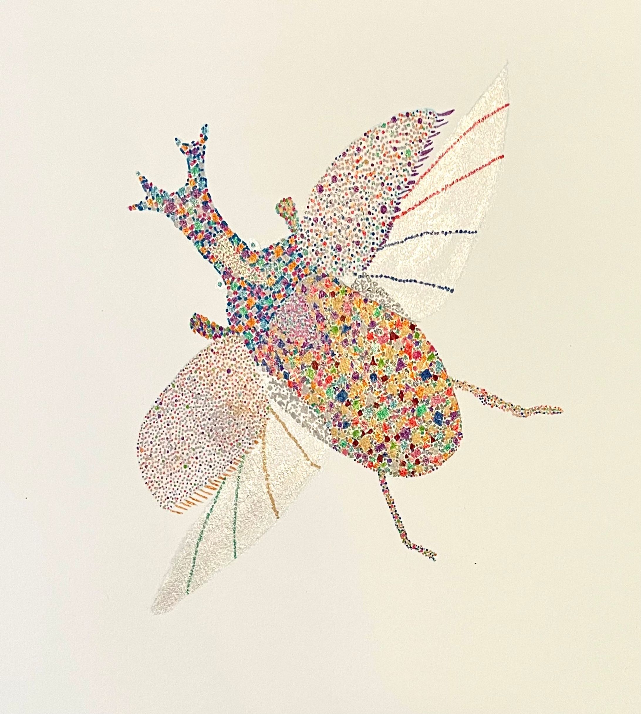 カブトムシ-1