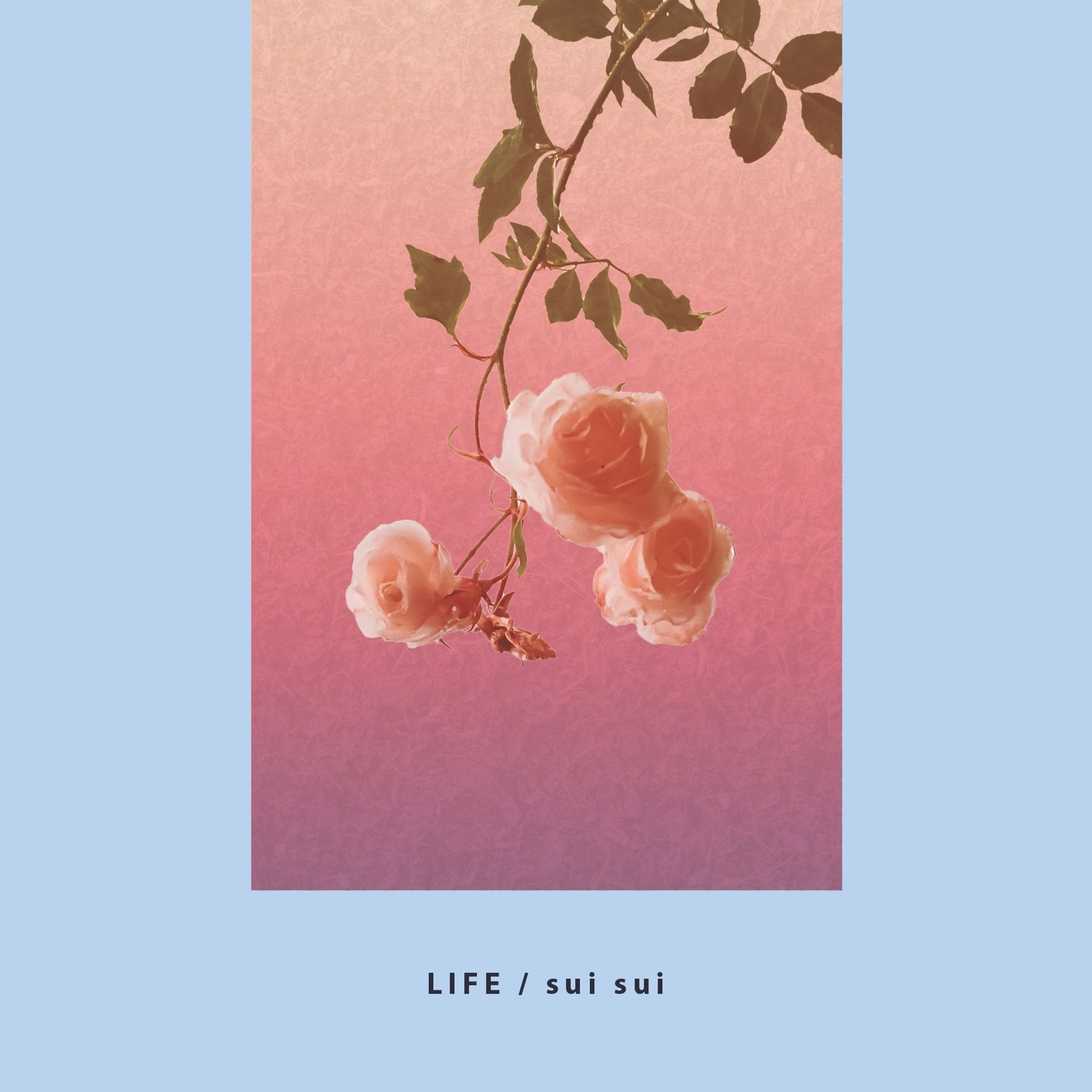 ［アートワーク］sui sui 2nd Album「LIFE」-1