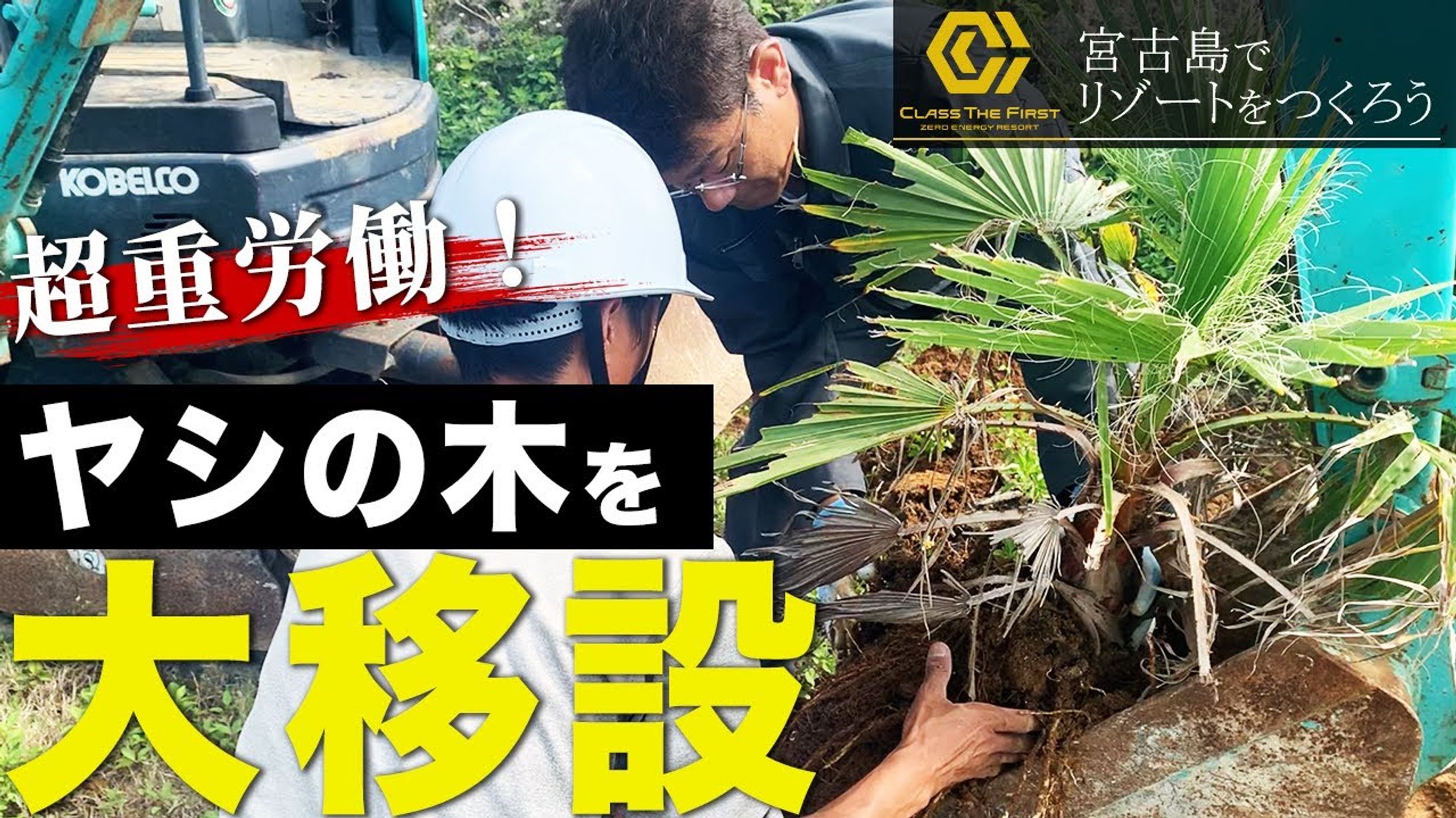 建築系_サムネイル-1