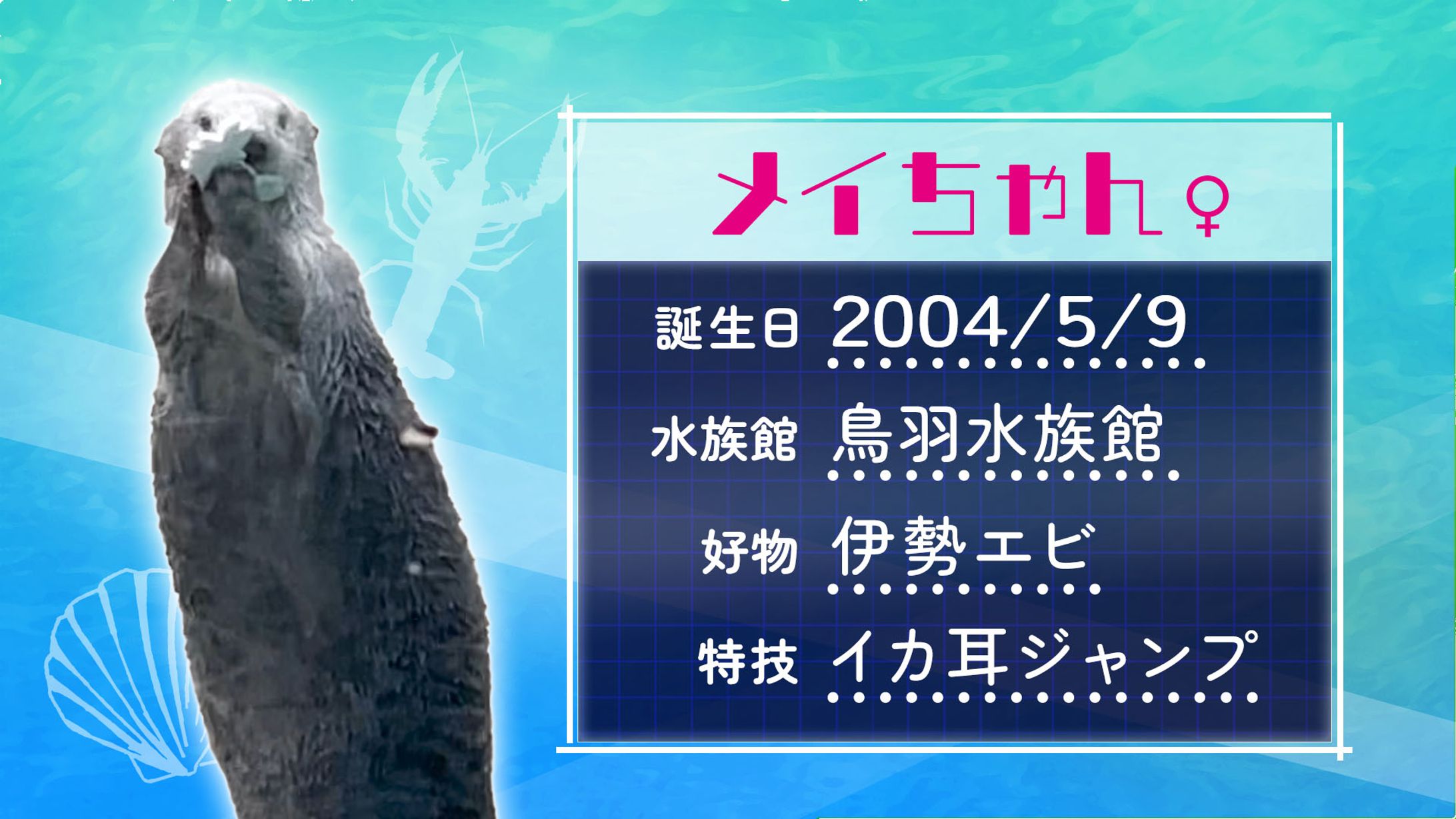 メイちゃんプロフィール-1