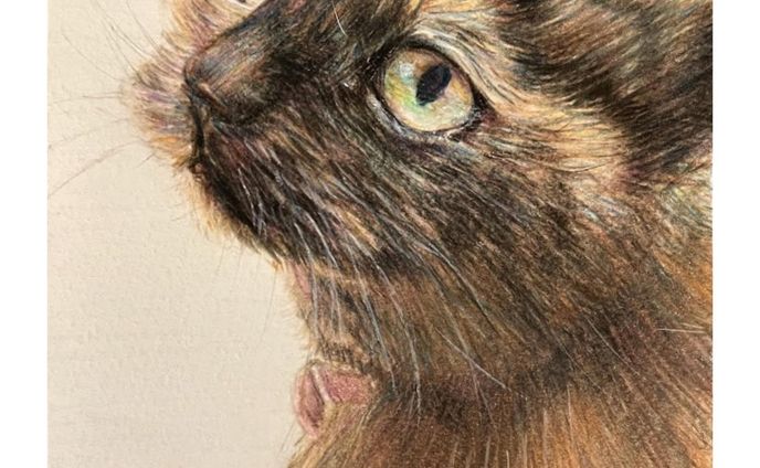 art、色鉛筆画