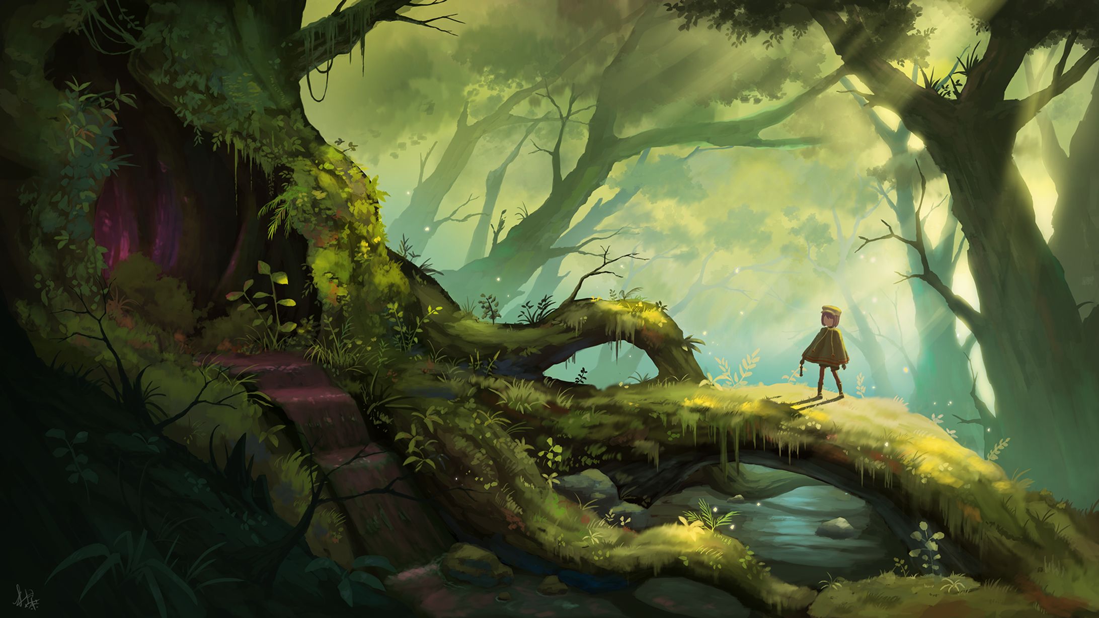 Forest-1