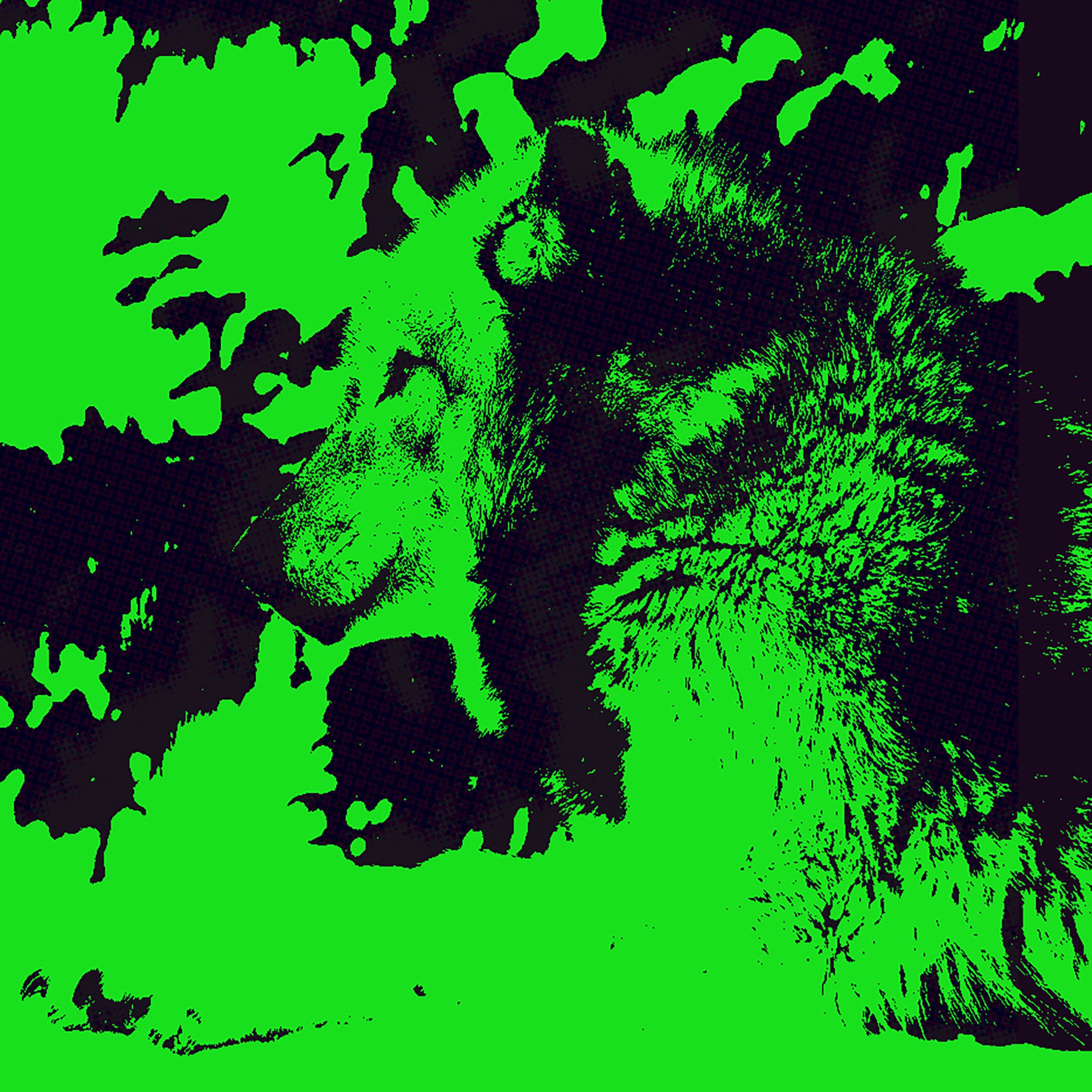 WOLF LIGHTGREEN-1