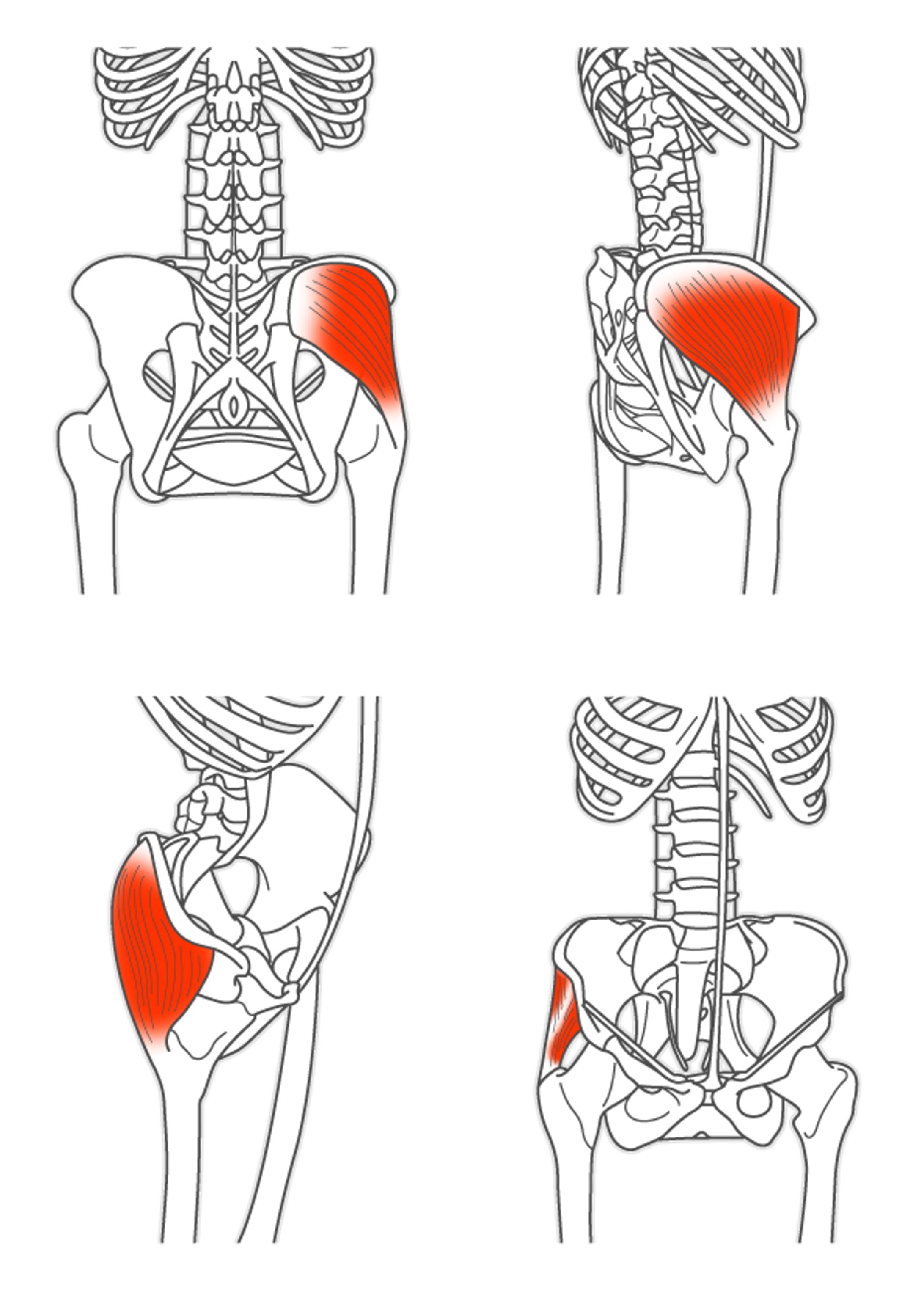 人体イラスト-1