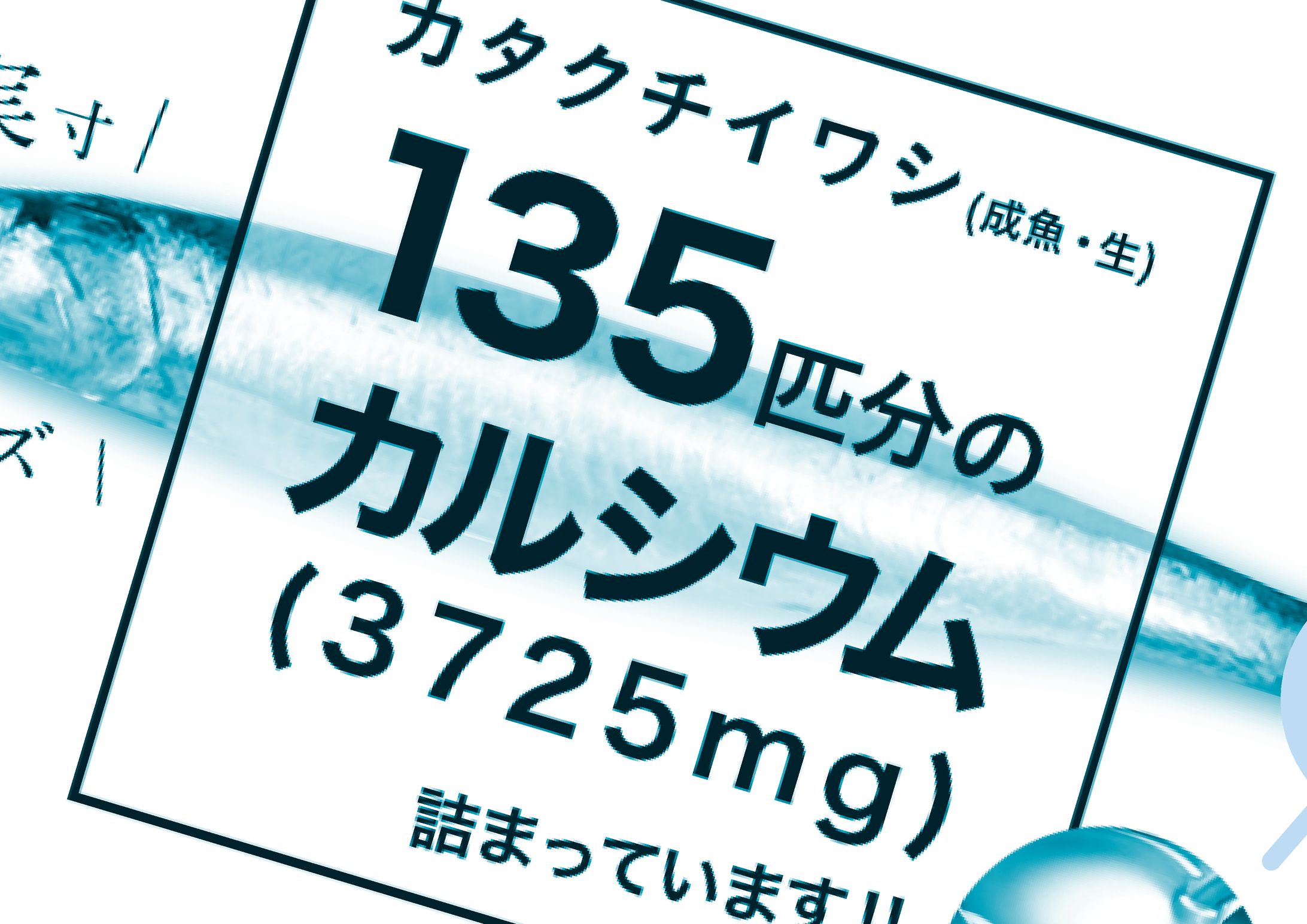 注文チラシ-1