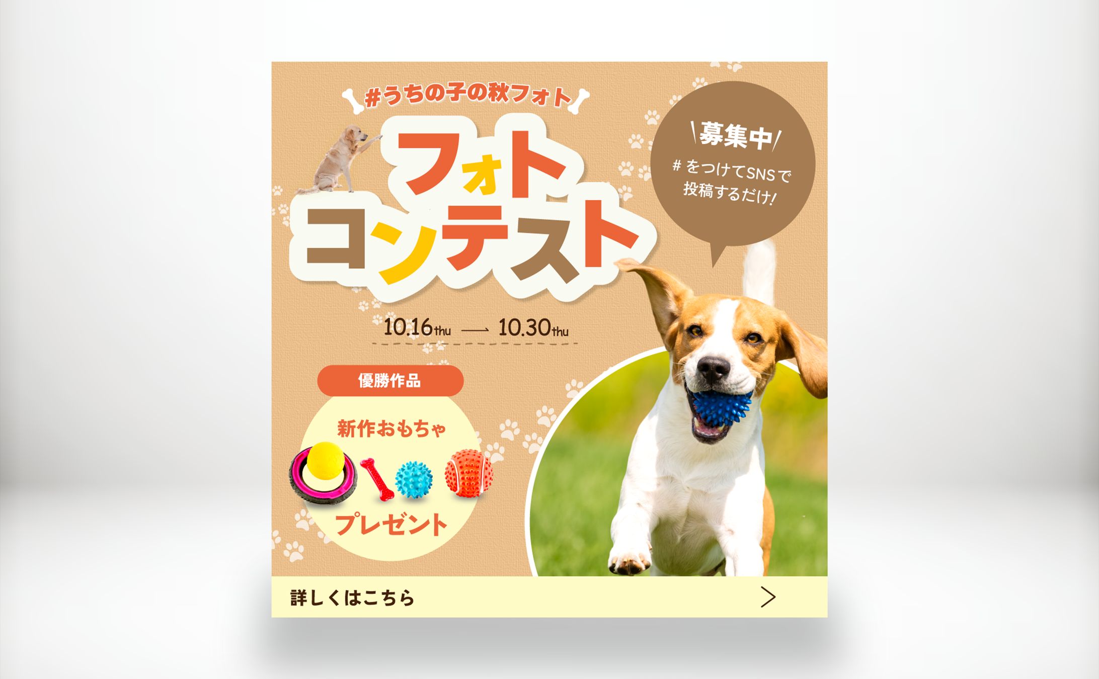 ドッグフォトコンテストバナー-1