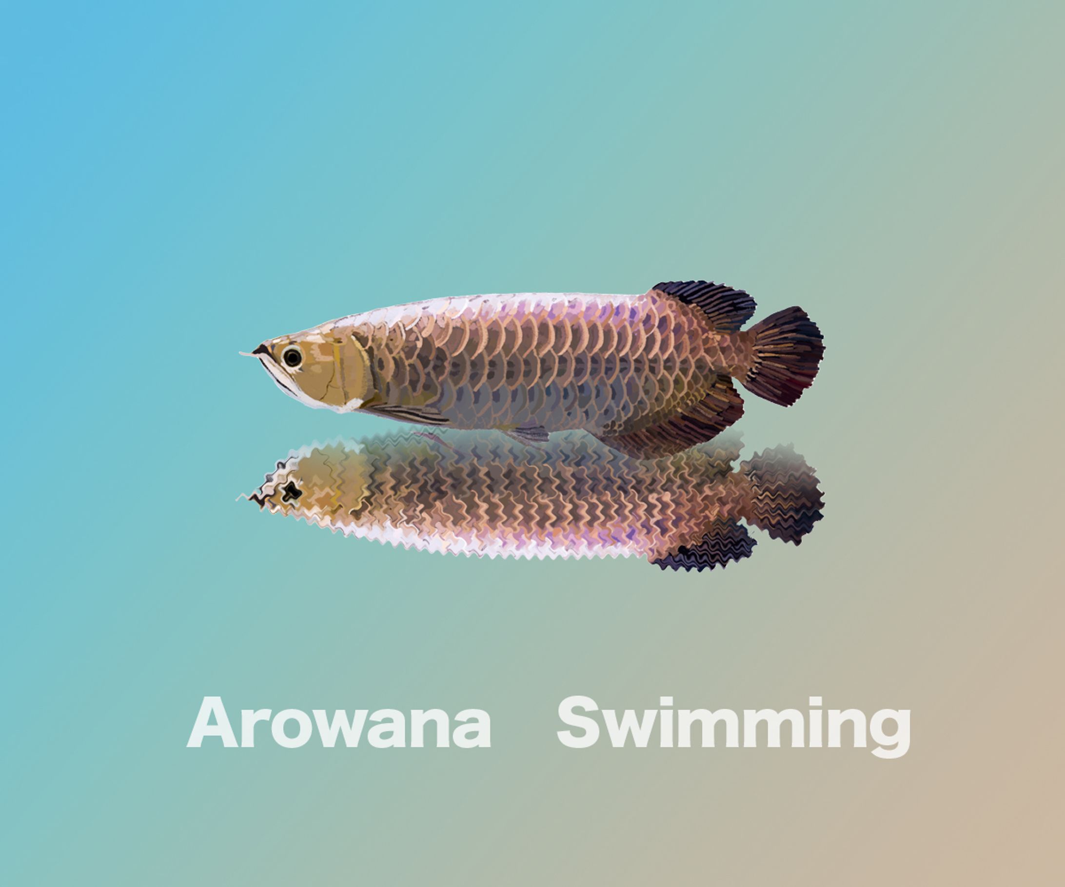 アロワナスイミング倶楽部-1