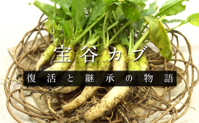 【ドキュメンタリー】庄内の在来野菜 土と人 「宝谷カブ」